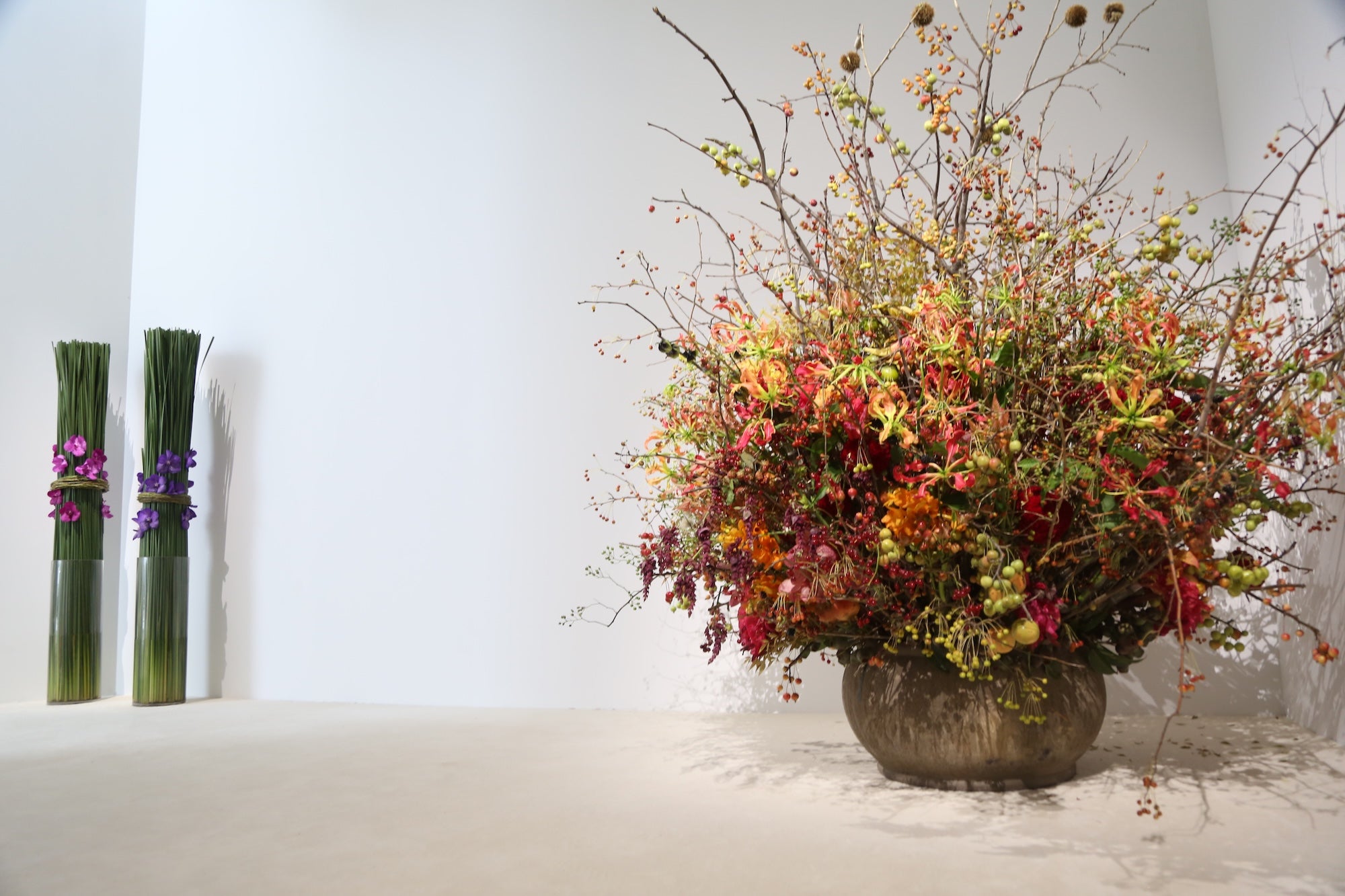 A Spectrum in Bloom