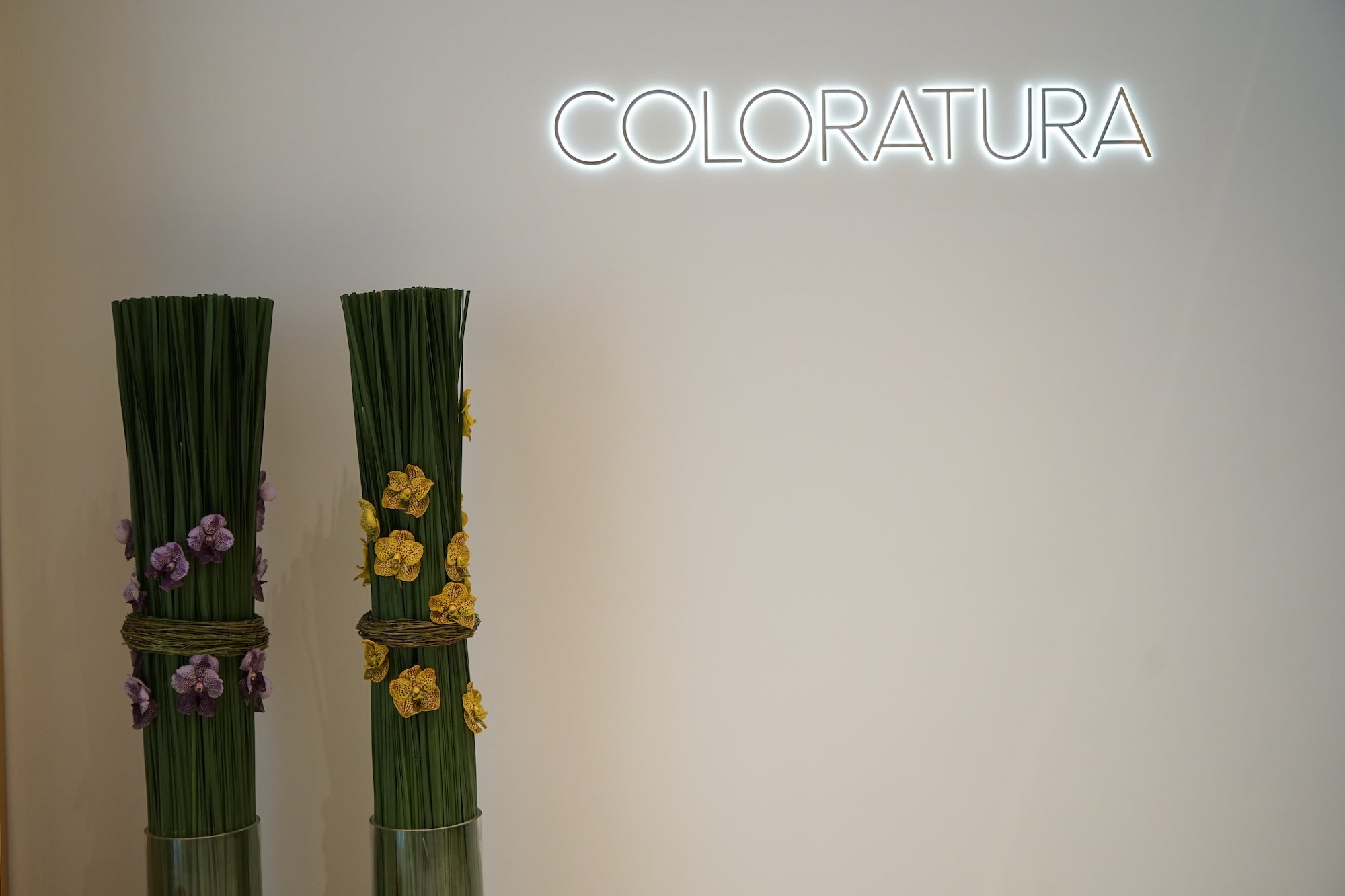 A Spectrum in Bloom