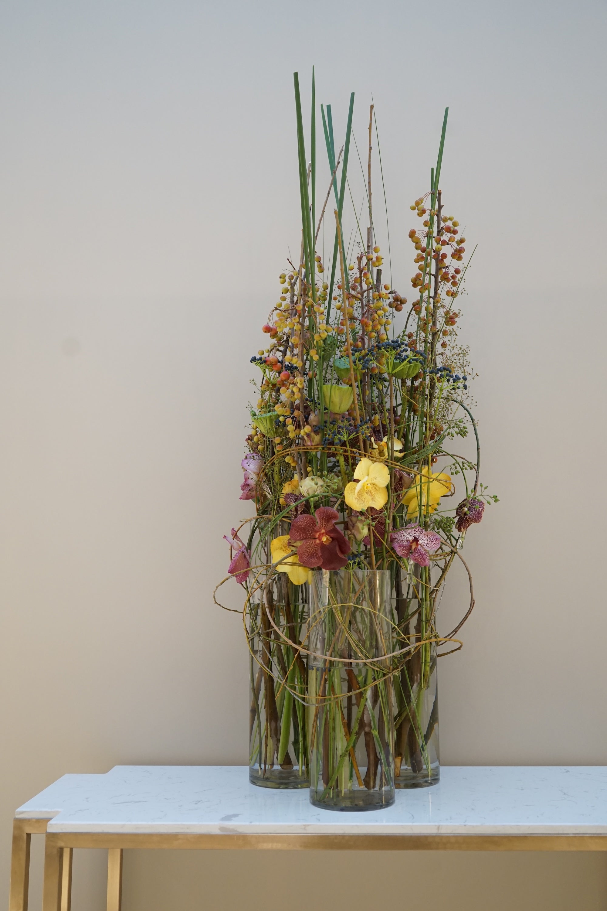 A Spectrum in Bloom