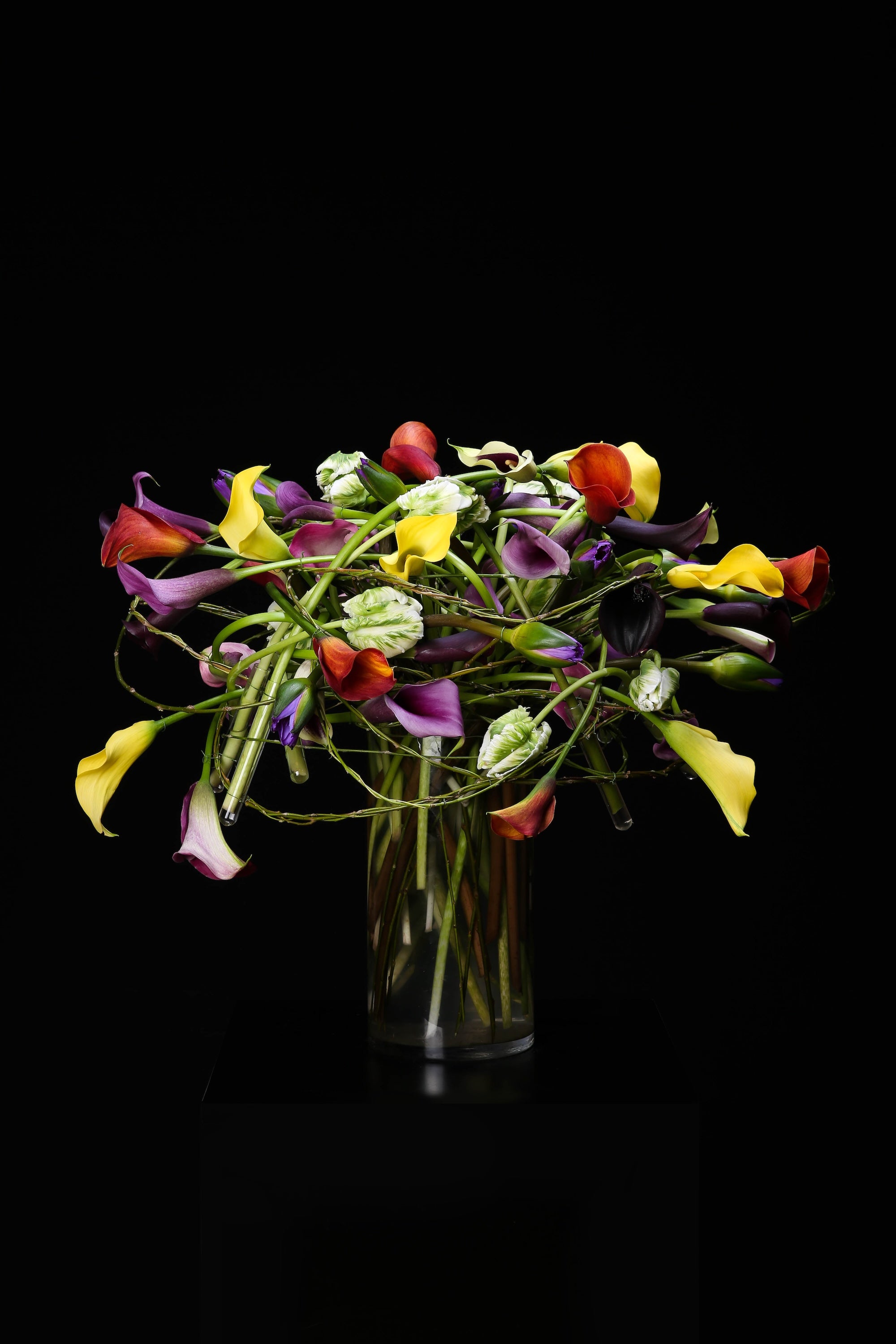A Spectrum in Bloom