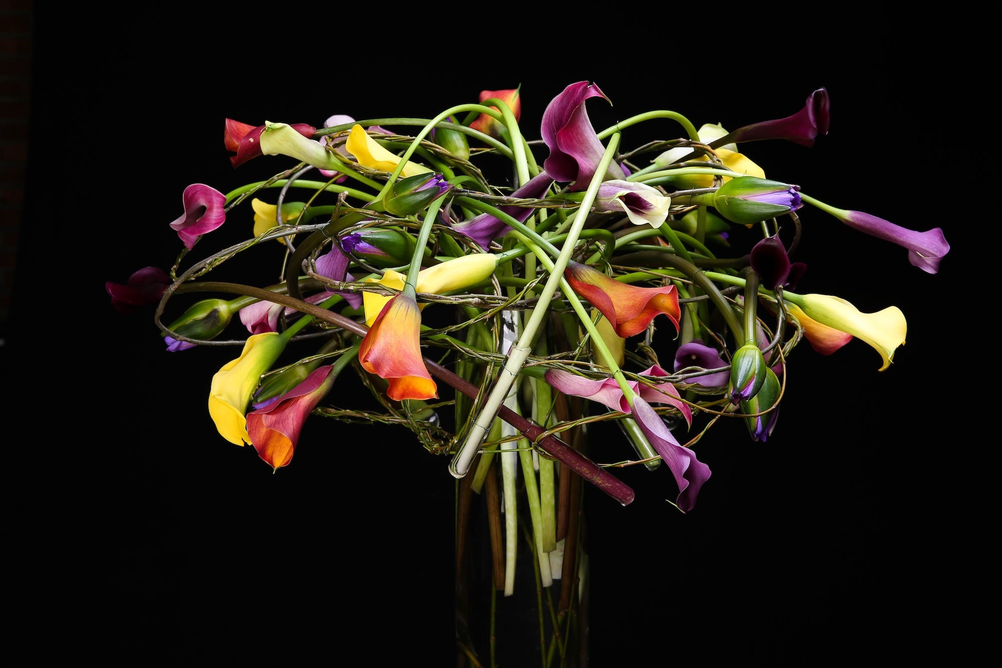 A Spectrum in Bloom