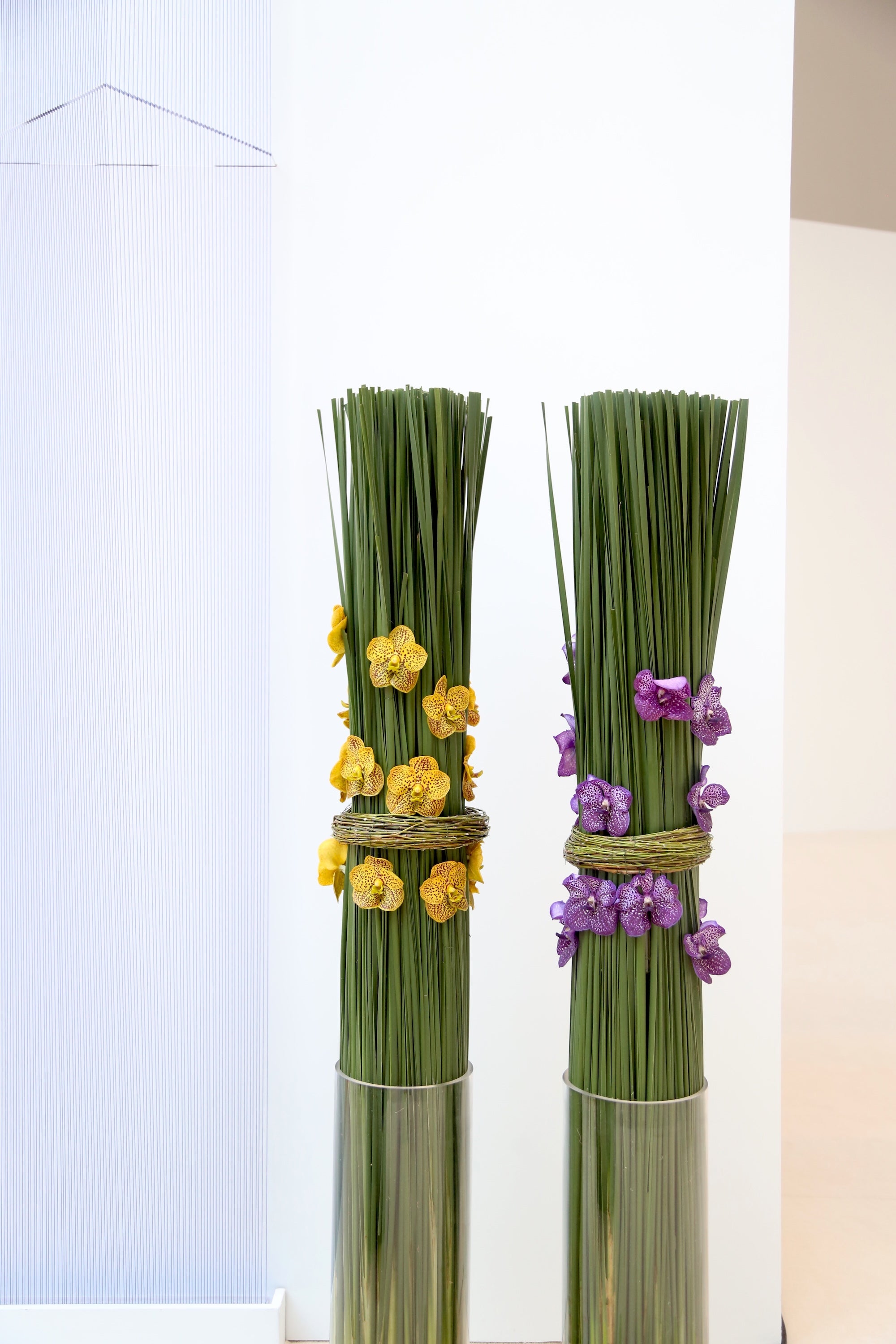 A Spectrum in Bloom