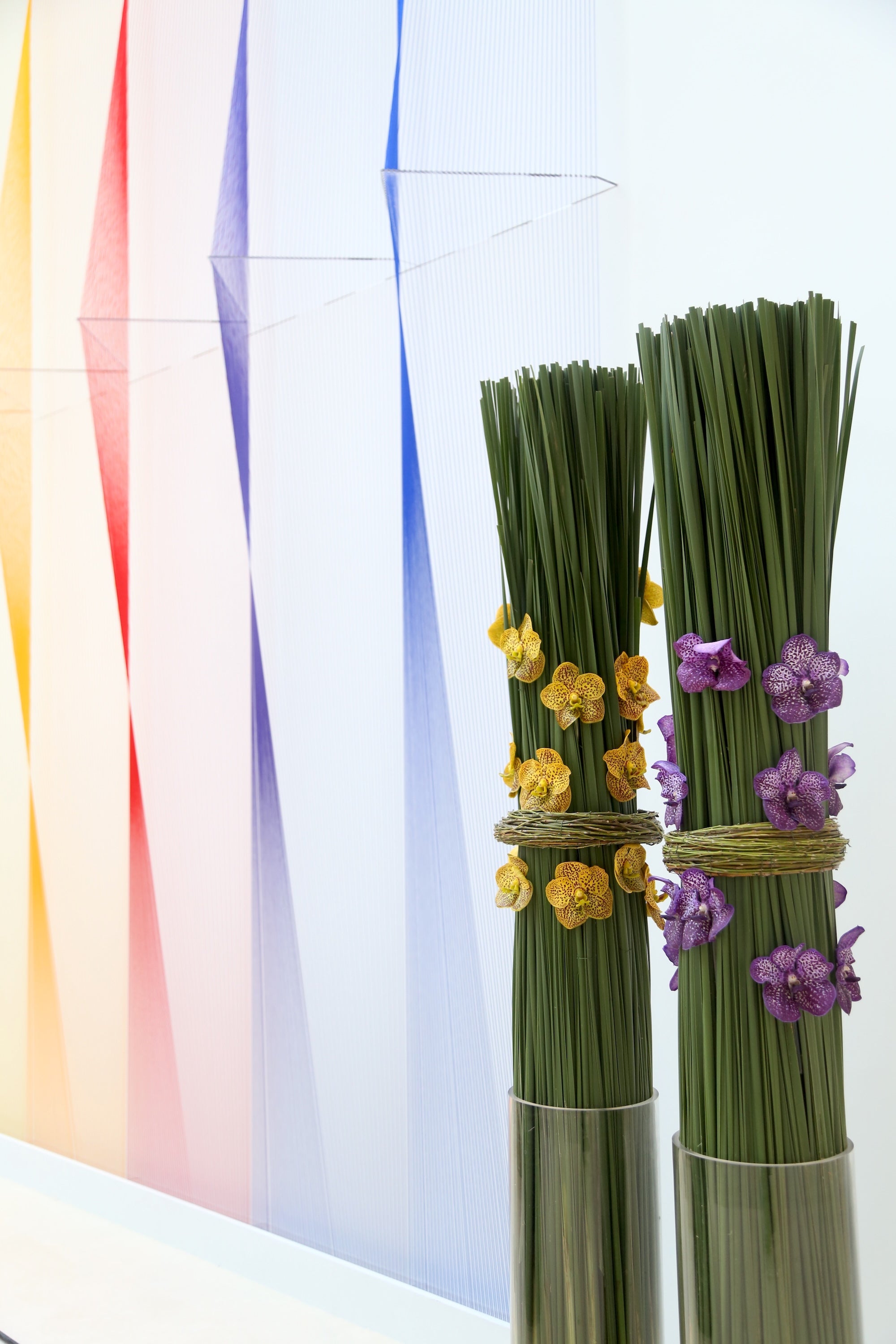 A Spectrum in Bloom