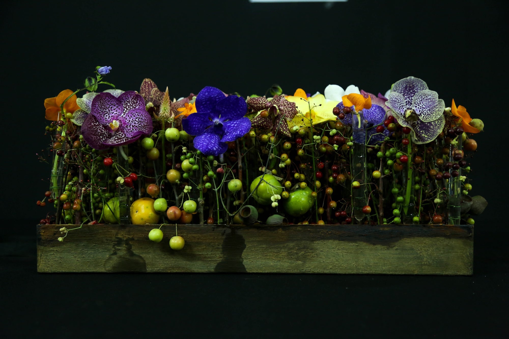 A Spectrum in Bloom