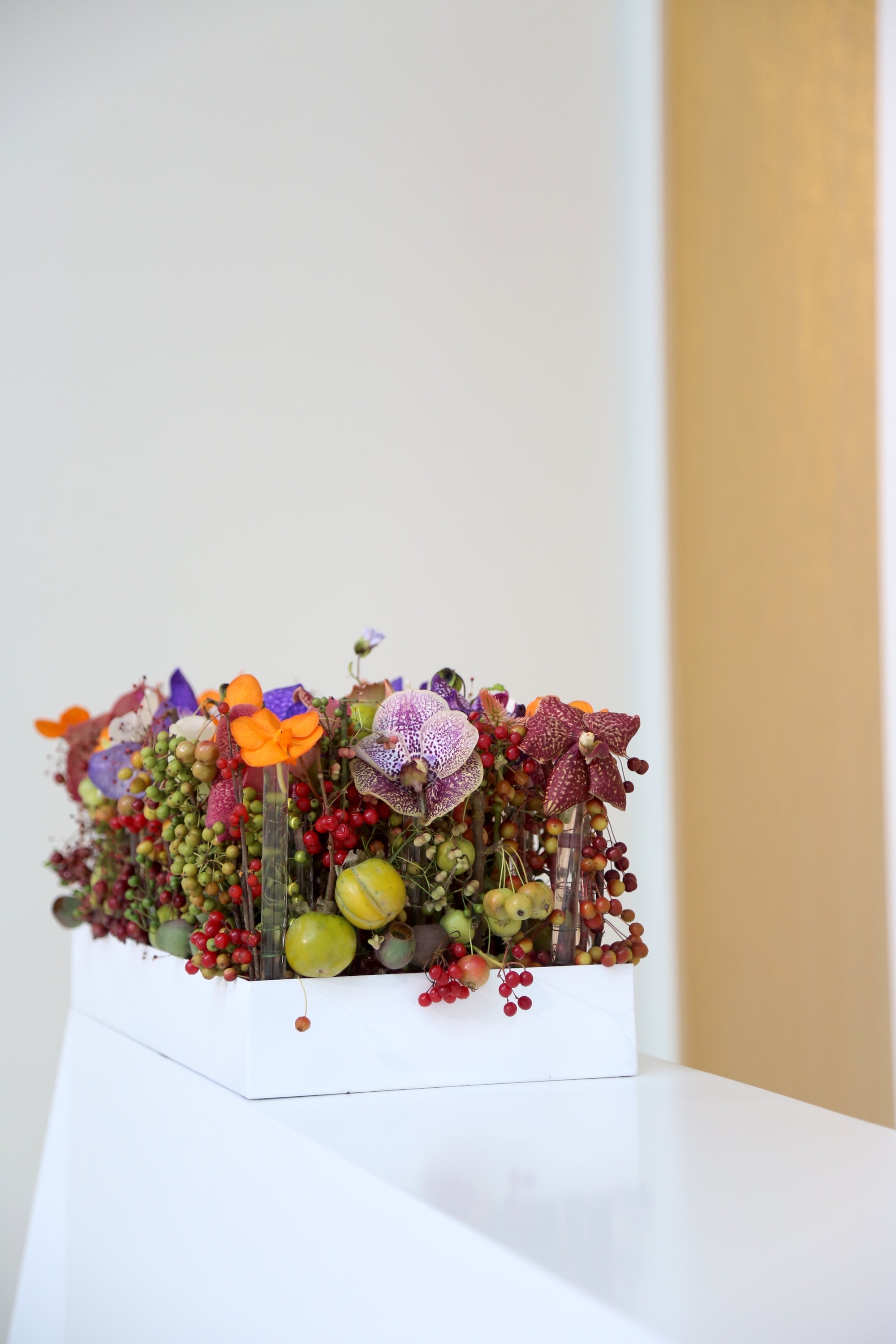 A Spectrum in Bloom