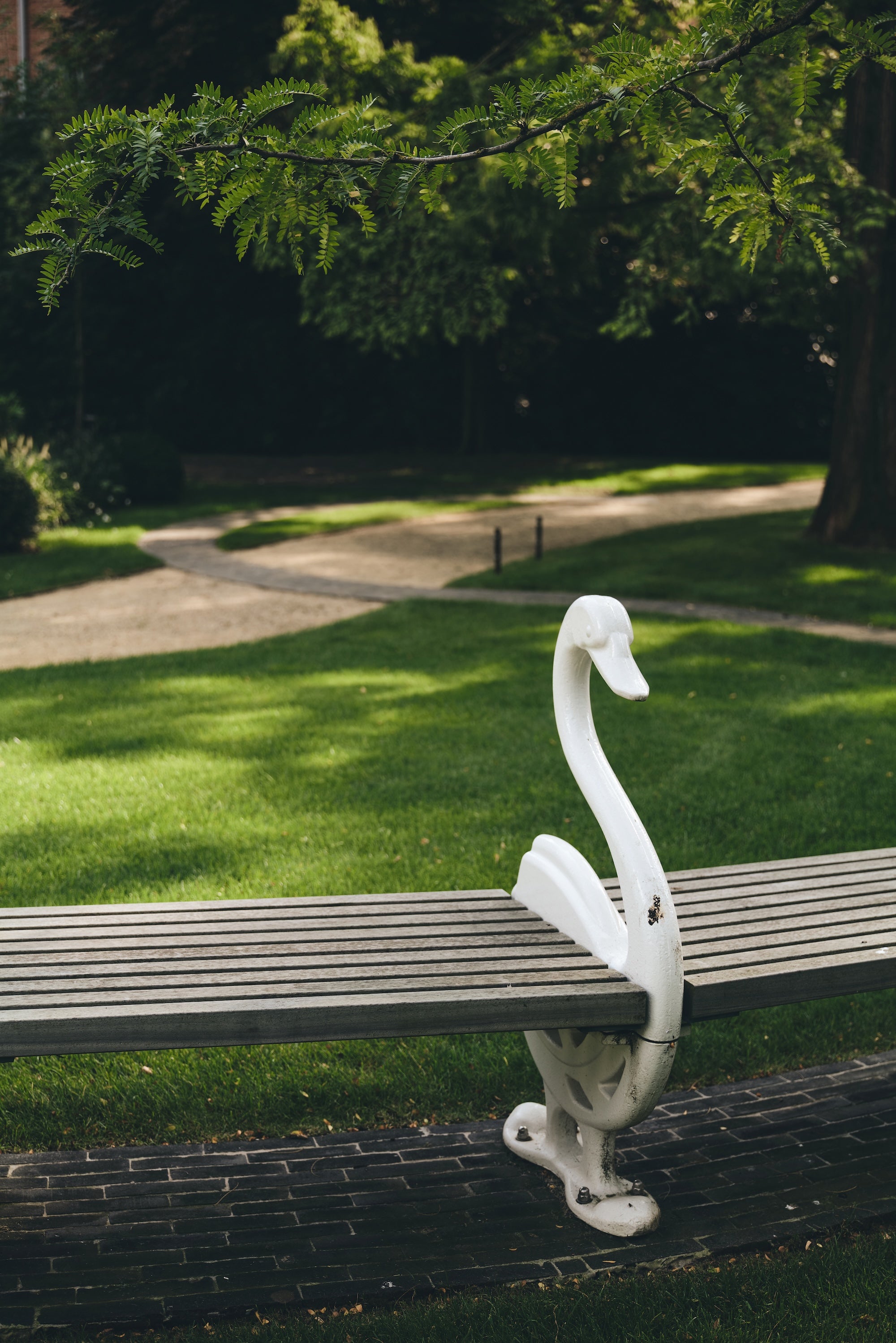 The Garden of Swans