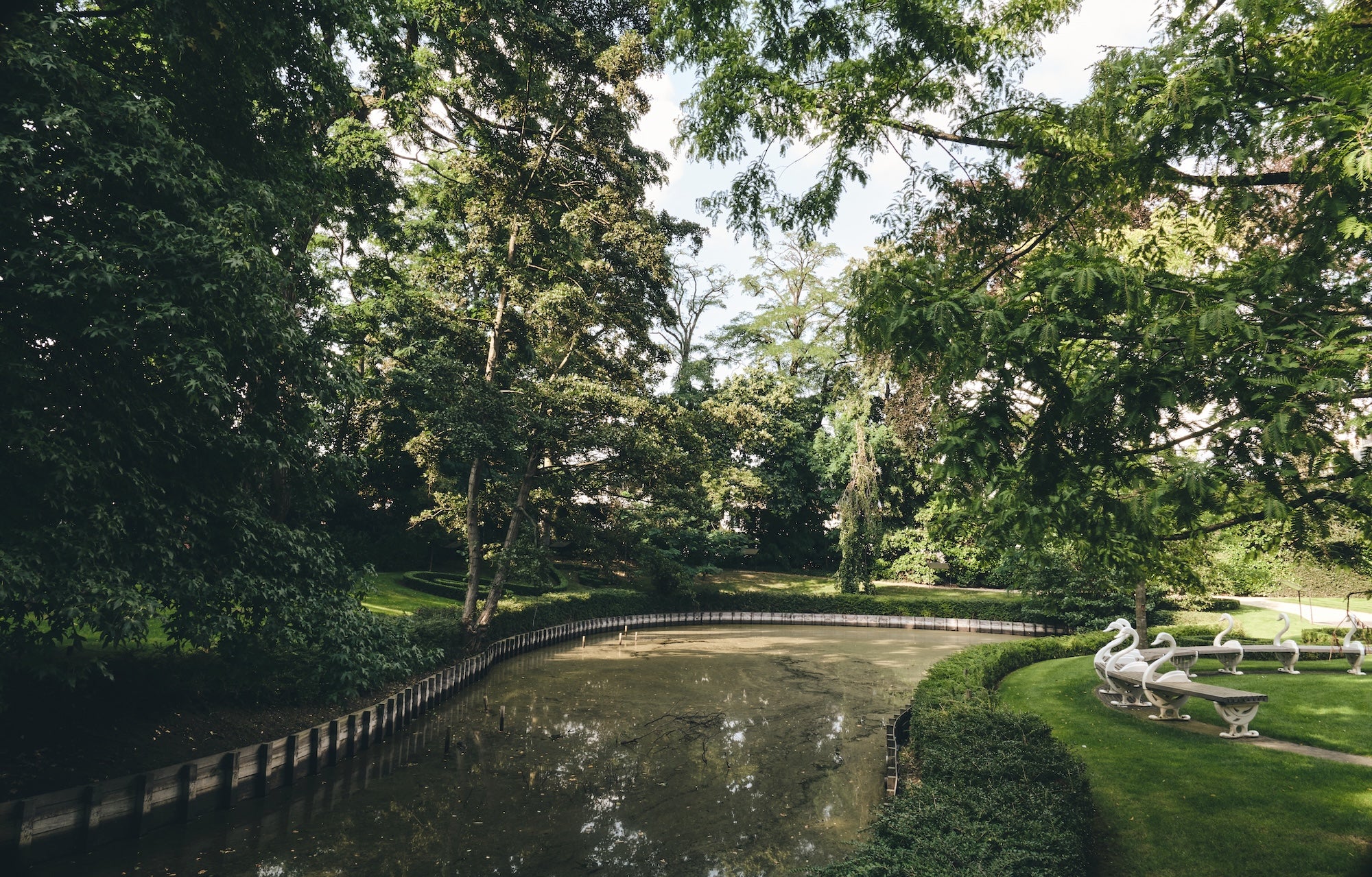 The Garden of Swans