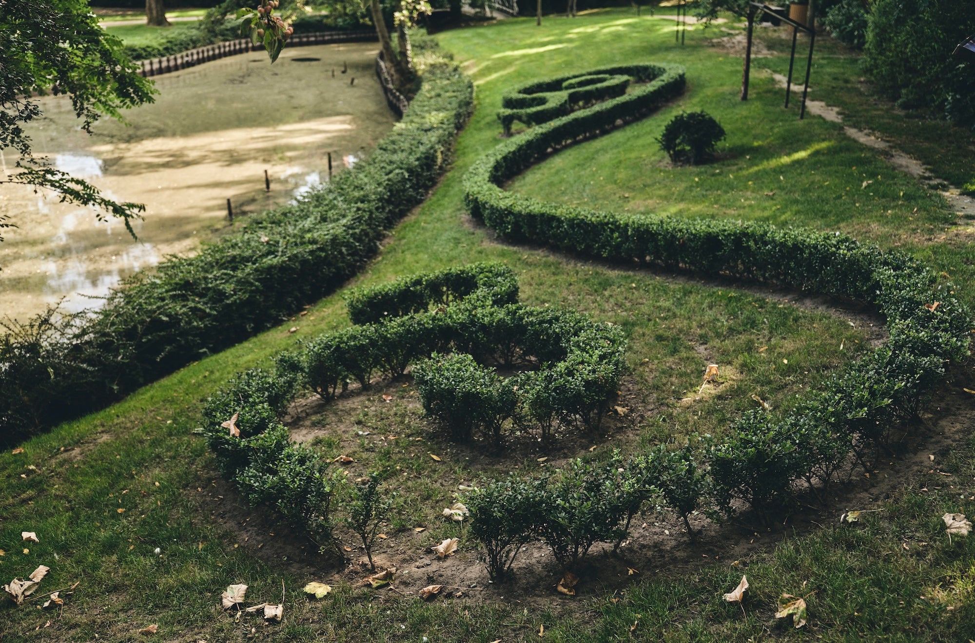 The Garden of Swans