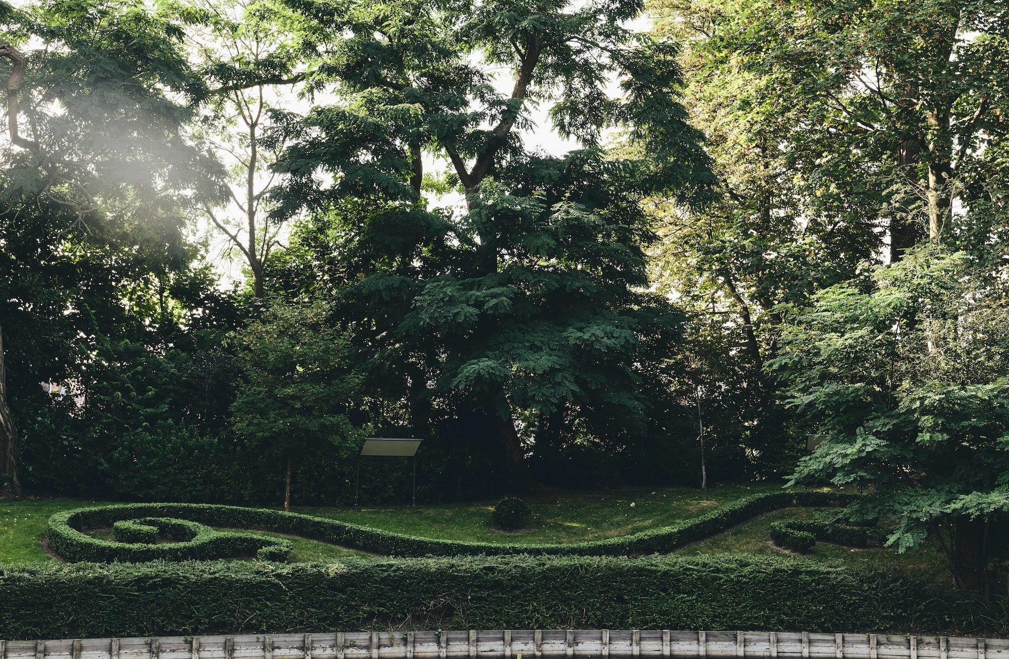 The Garden of Swans