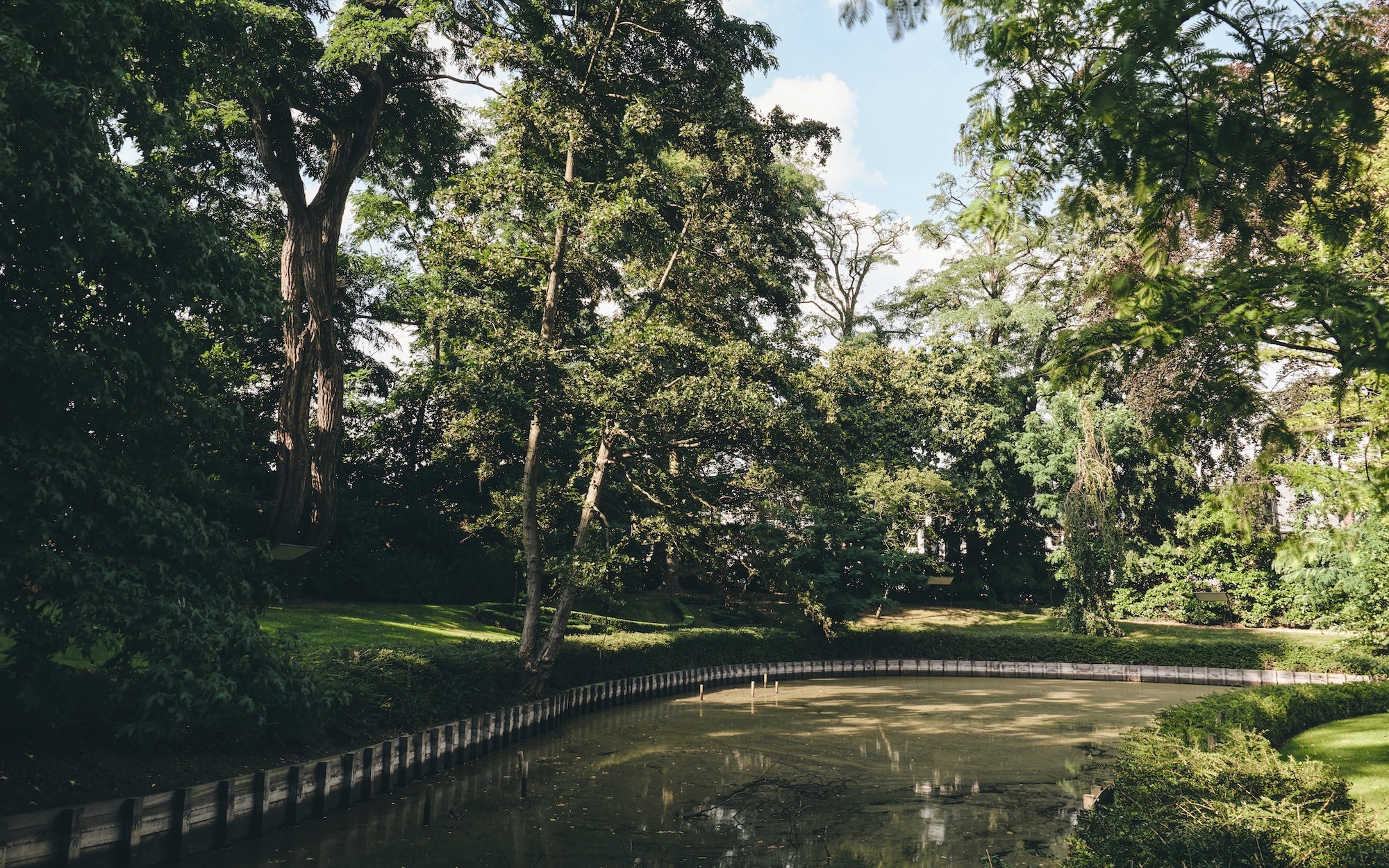 The Garden of Swans