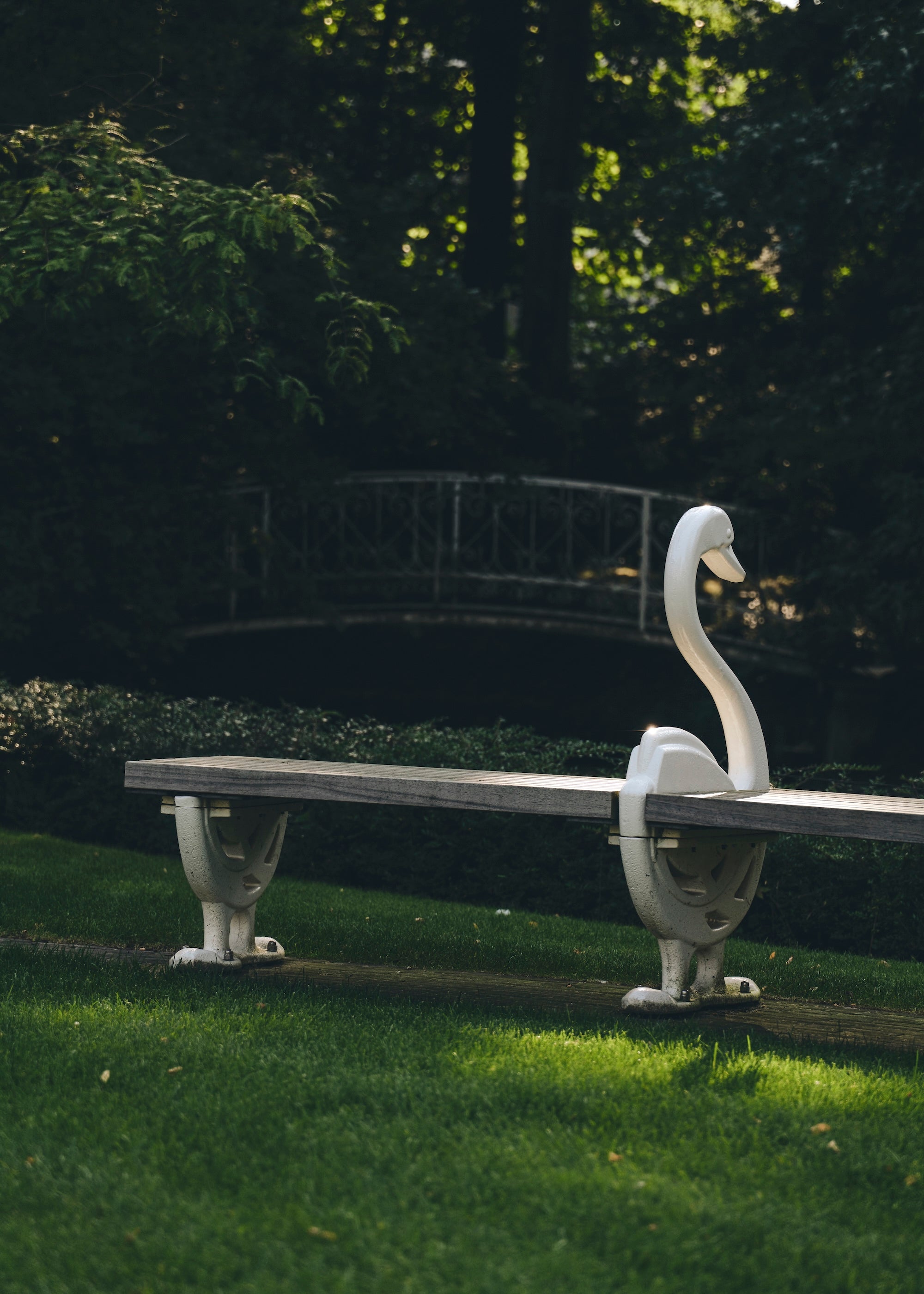 The Garden of Swans