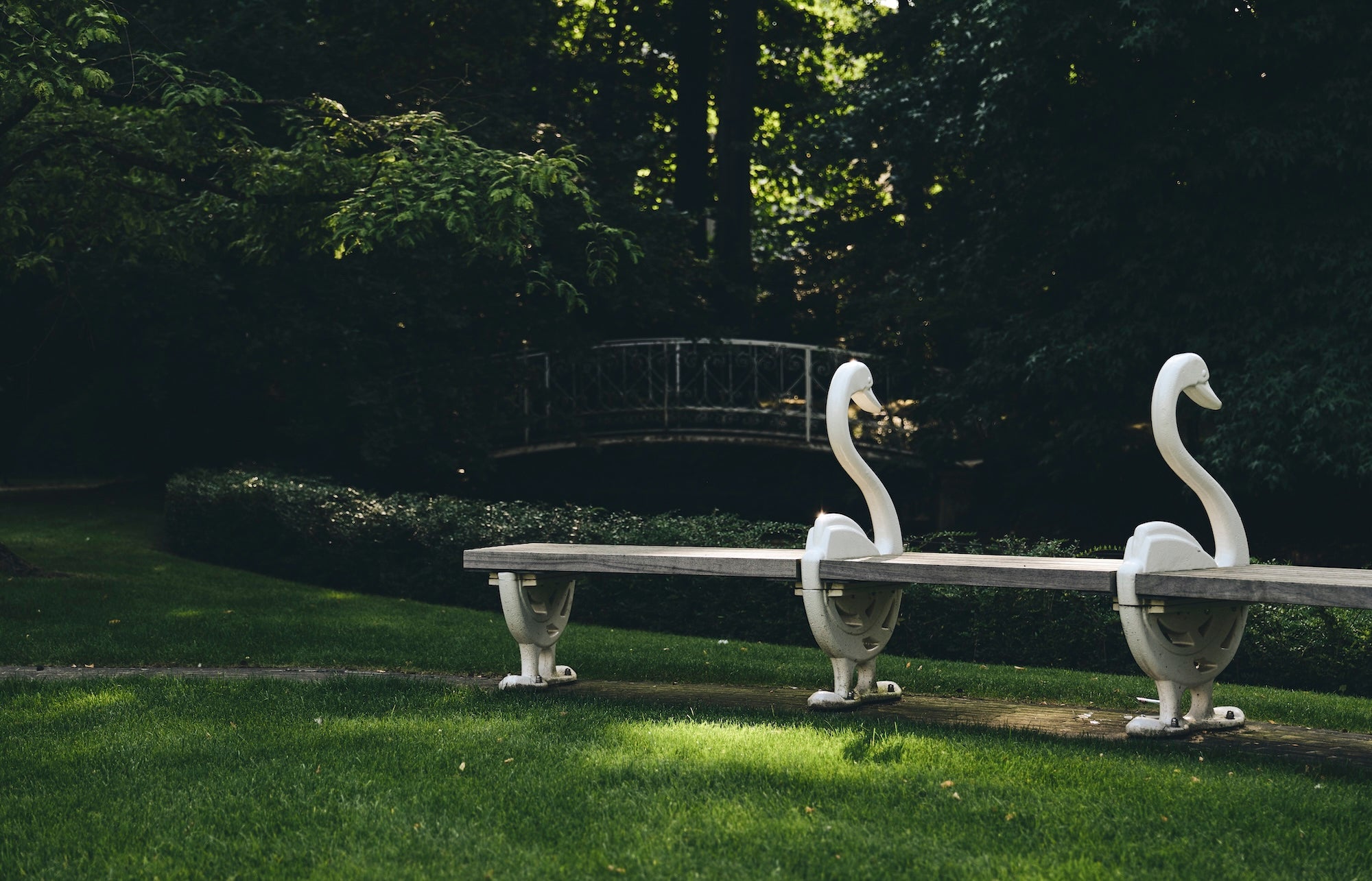 The Garden of Swans