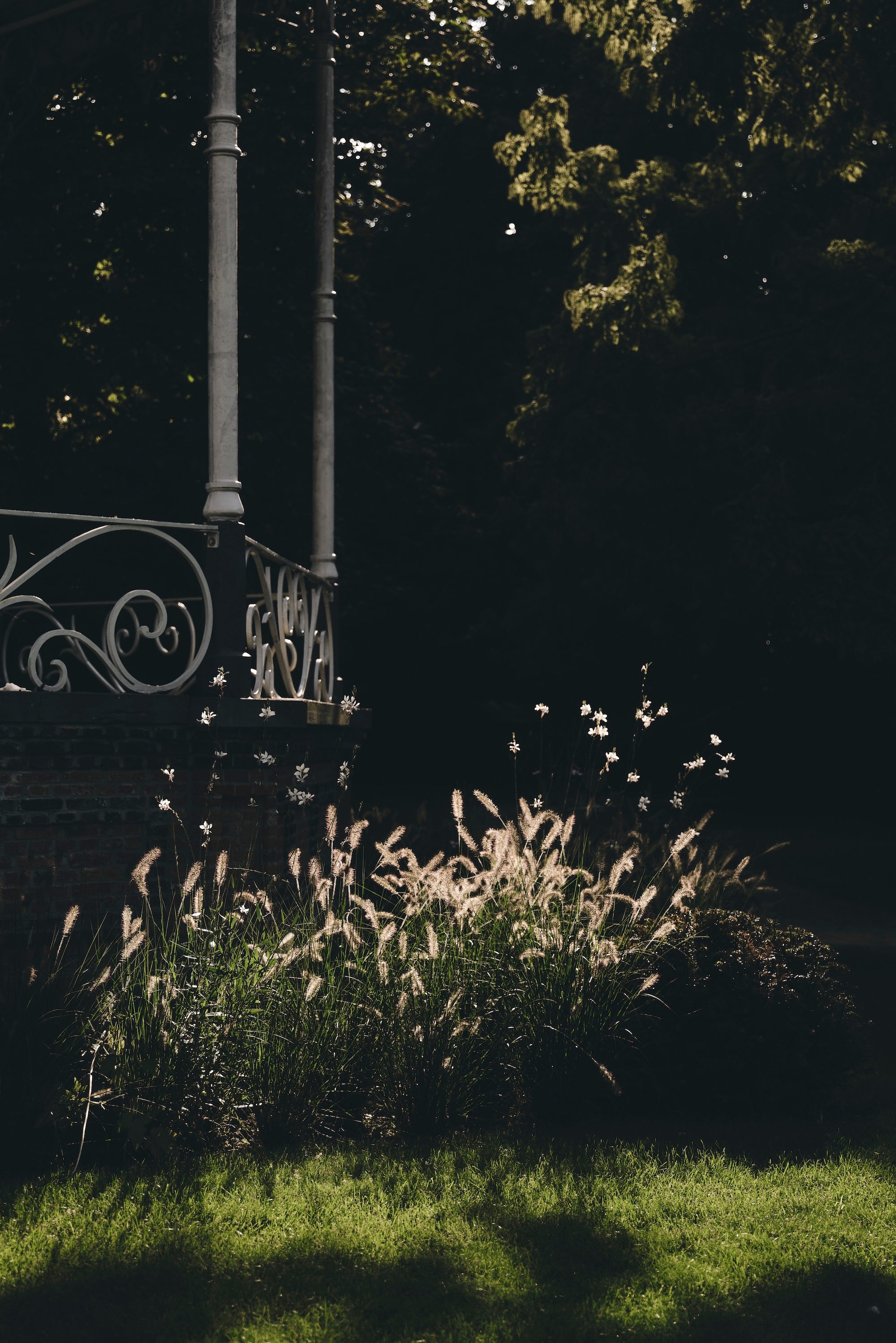 The Garden of Swans