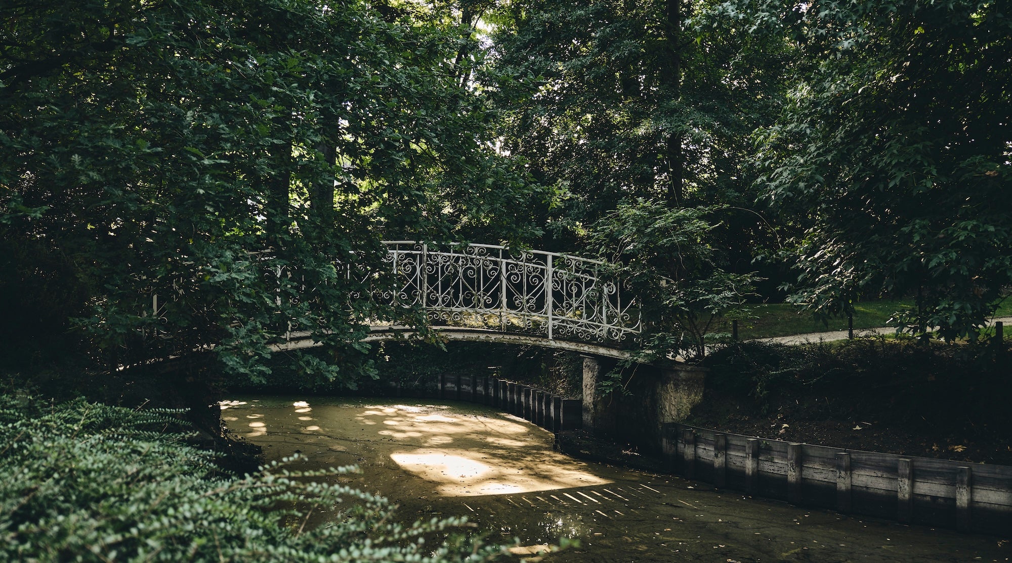 The Garden of Swans