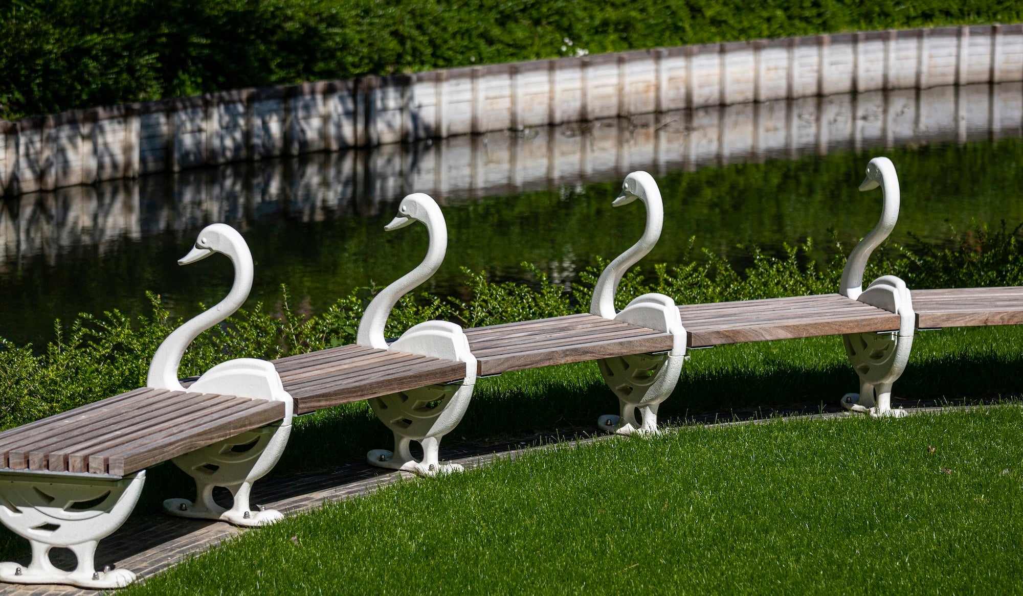 The Garden of Swans