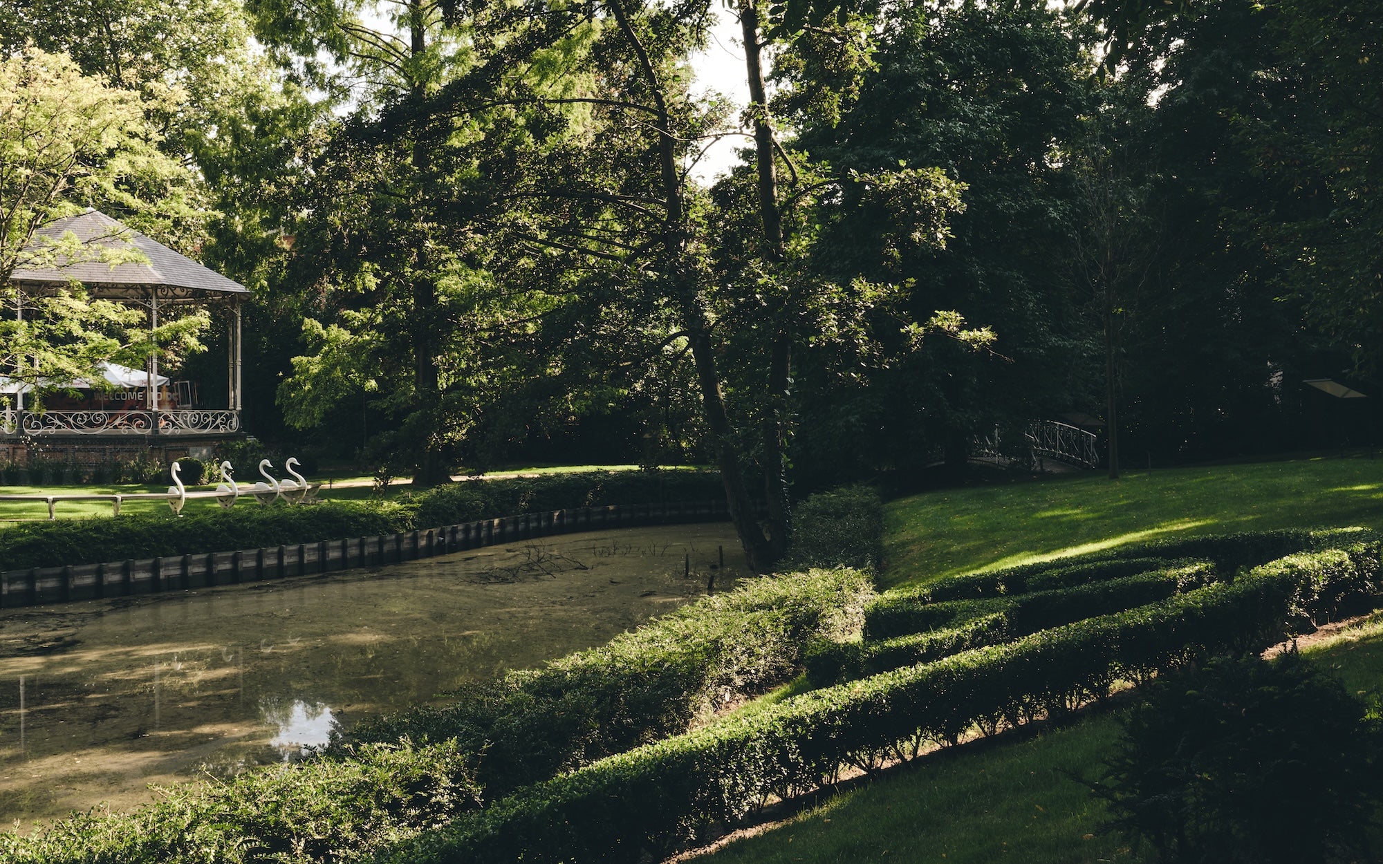 The Garden of Swans