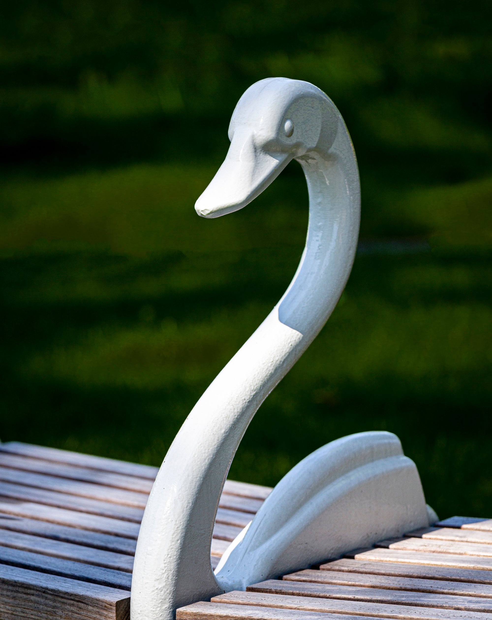 The Garden of Swans