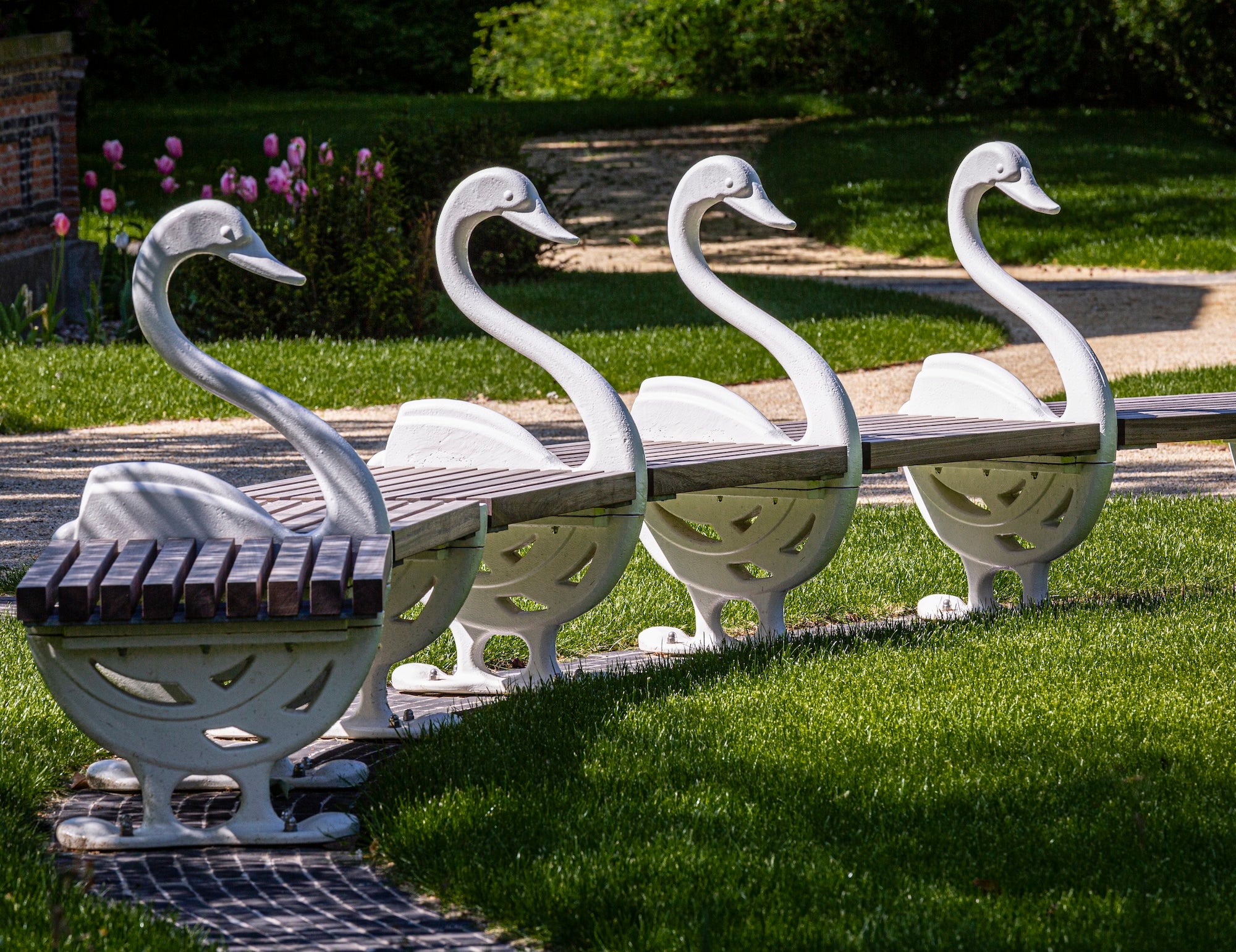 The Garden of Swans