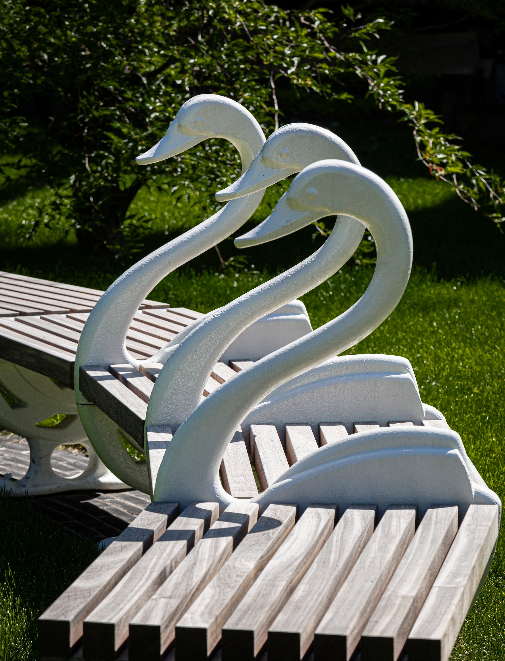 The Garden of Swans