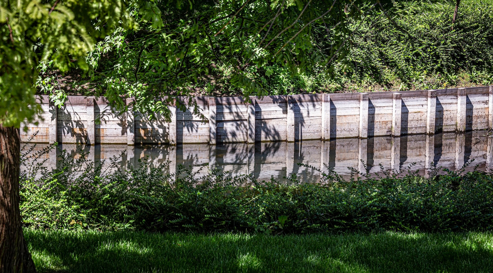 The Garden of Swans