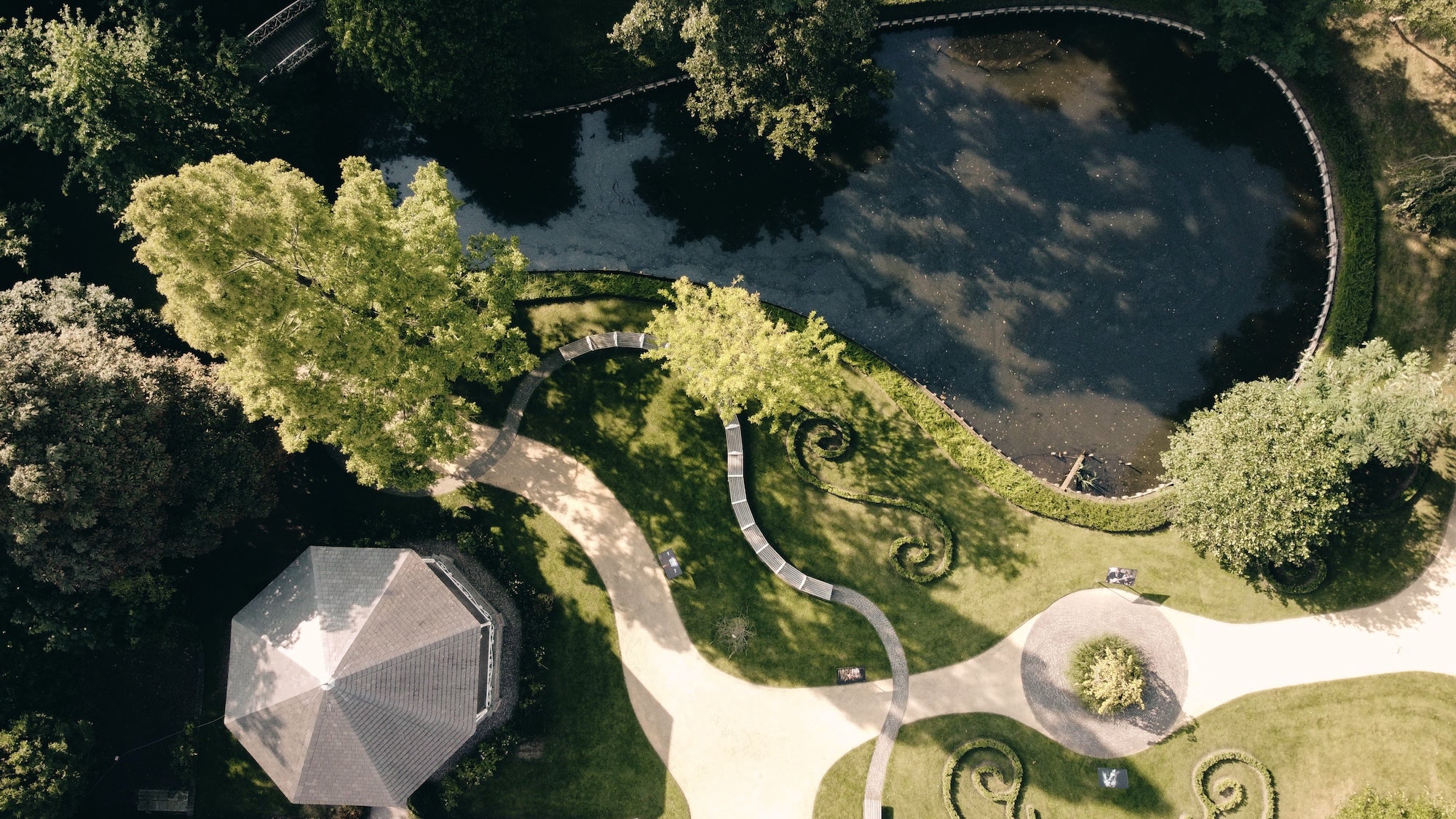 The Garden of Swans