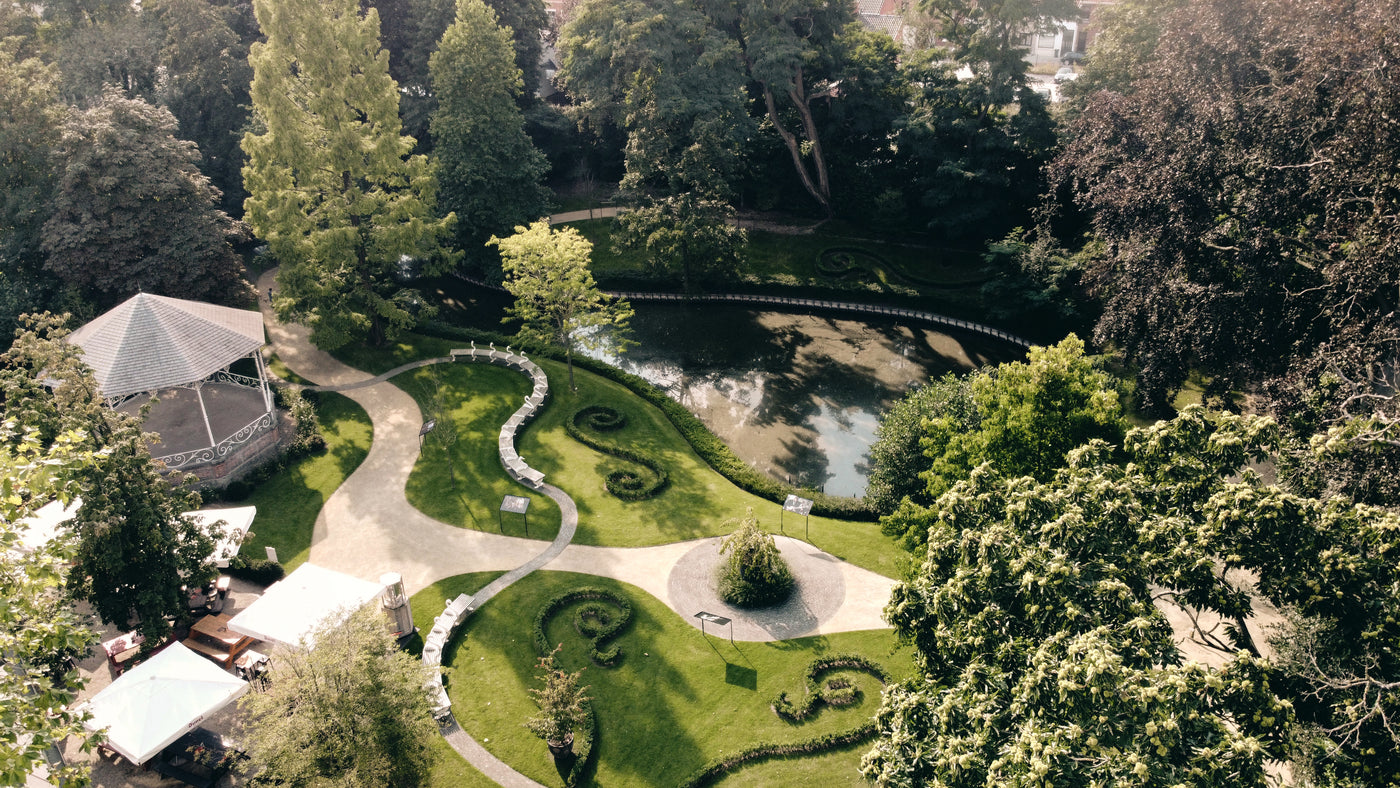 The Garden of Swans