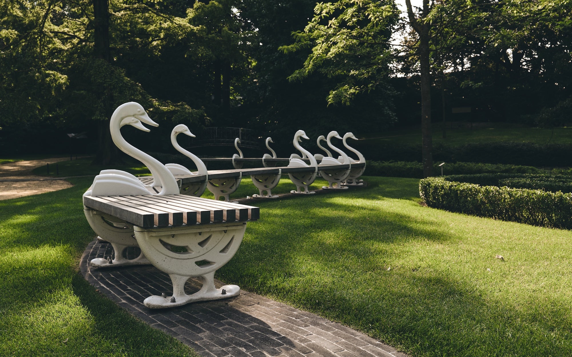 The Garden of Swans