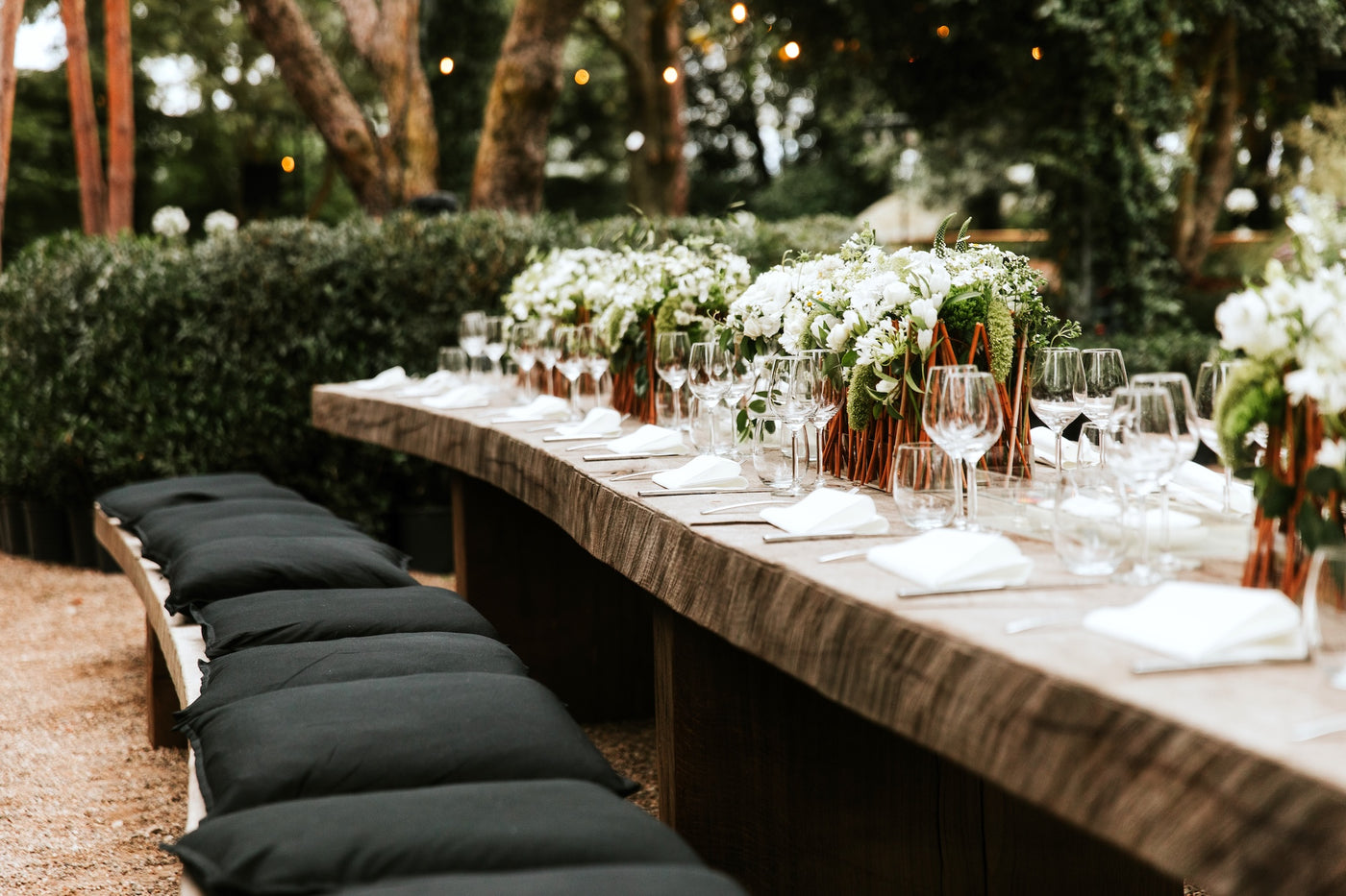 Vows Beneath the Trees