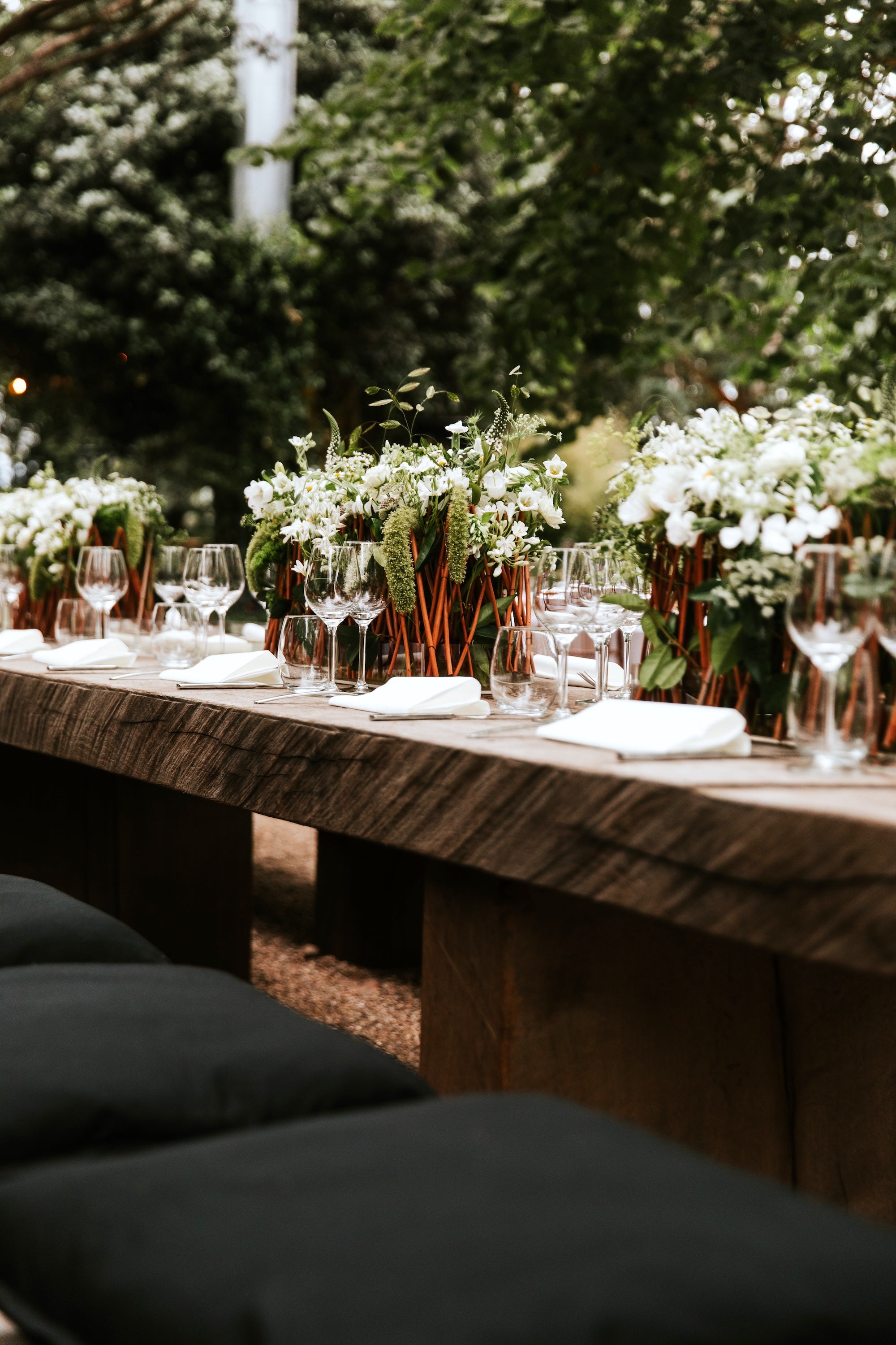 Vows Beneath the Trees