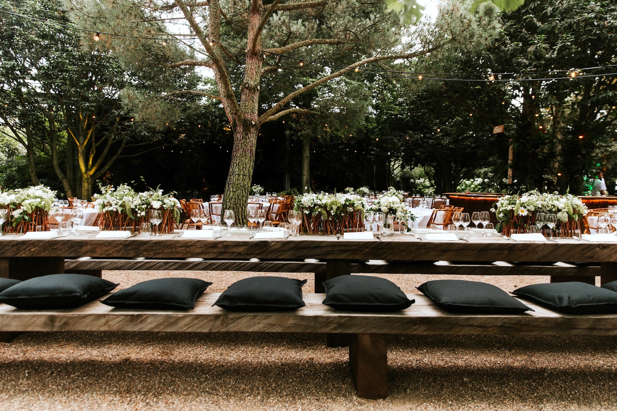 Vows Beneath the Trees