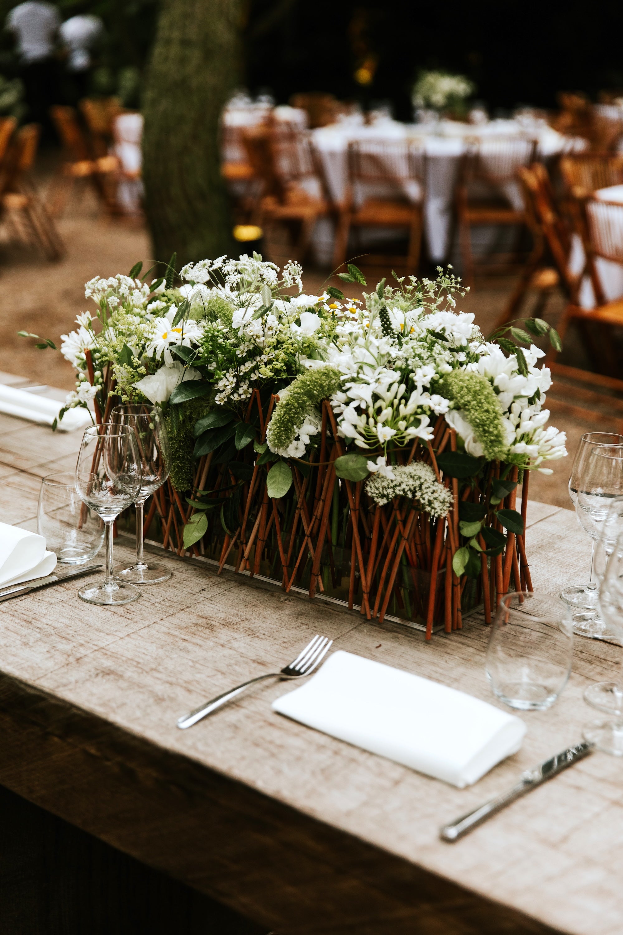 Vows Beneath the Trees
