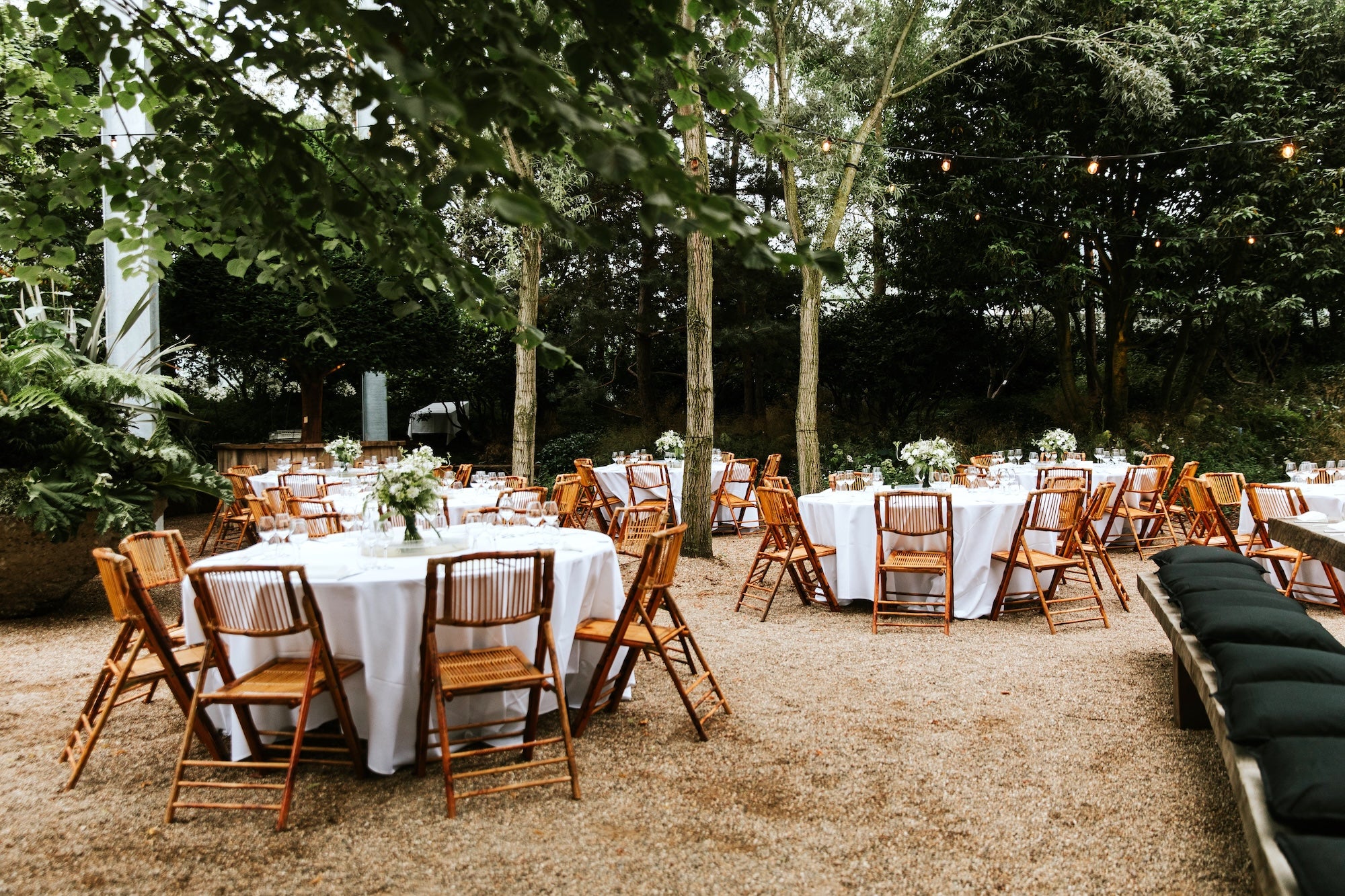 Vows Beneath the Trees