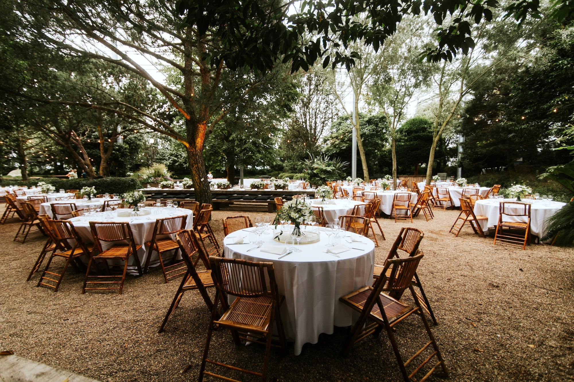 Vows Beneath the Trees