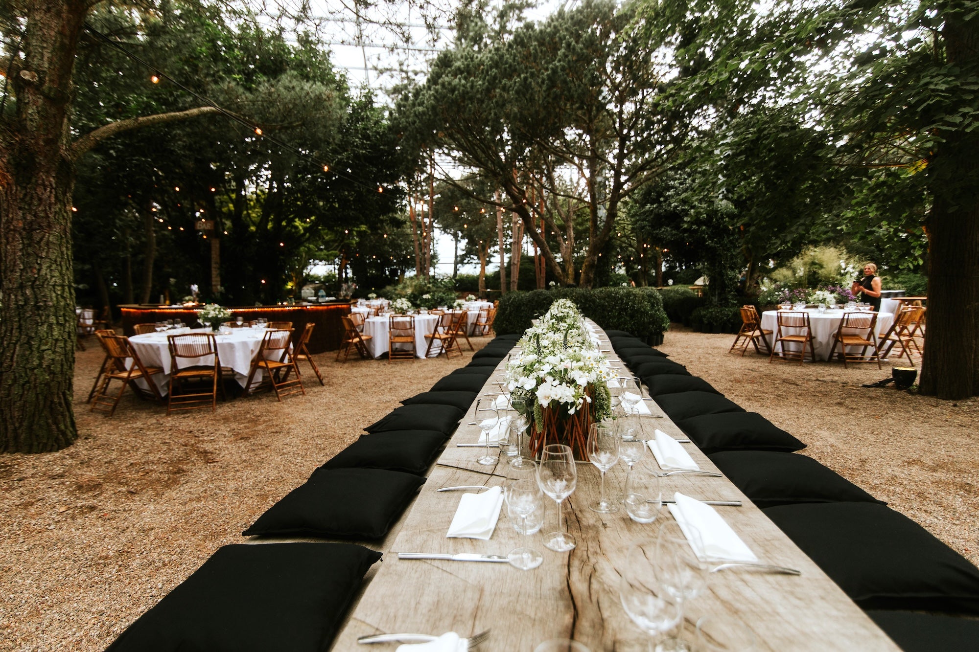 Vows Beneath the Trees