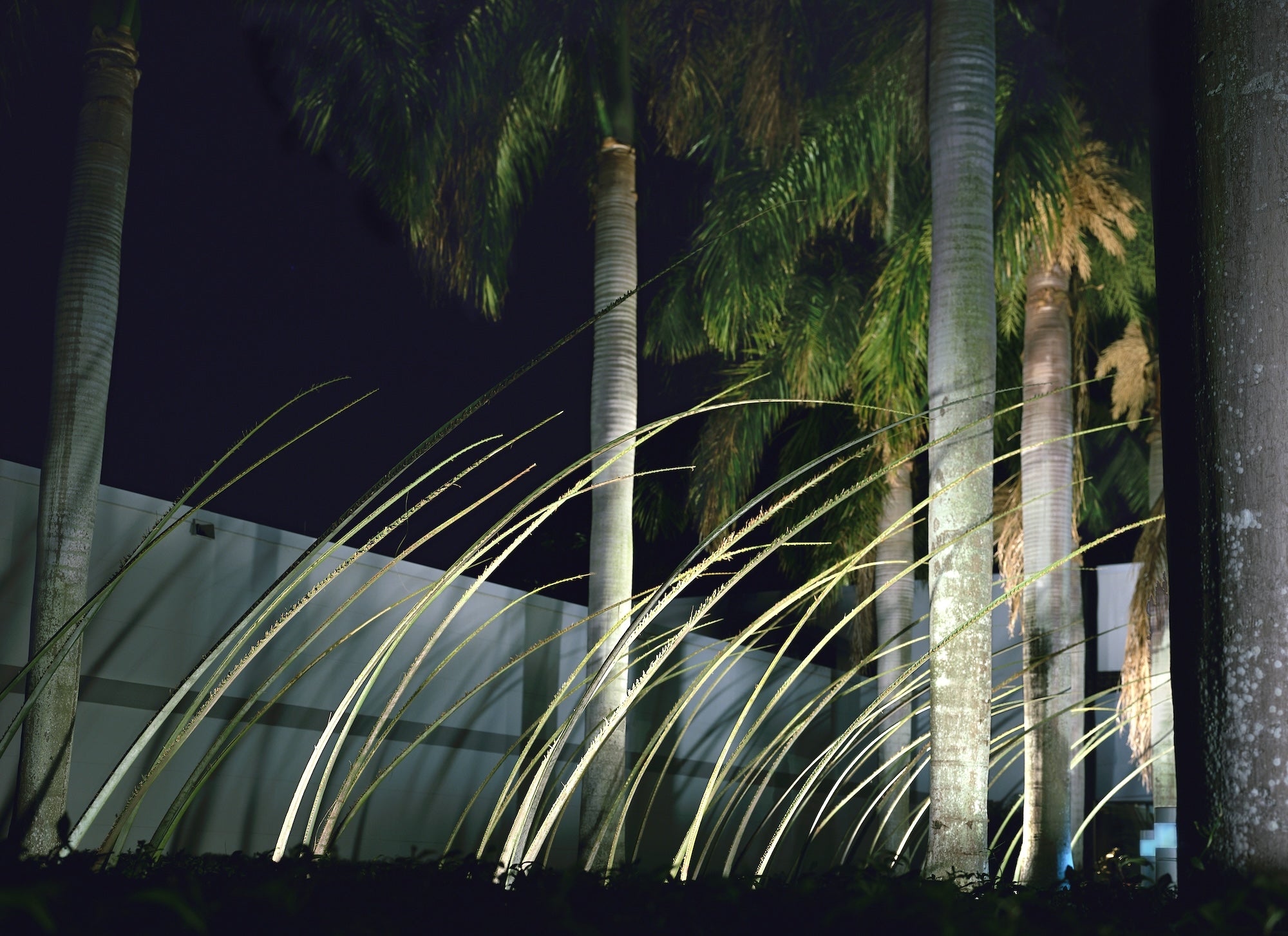 Nature in Motion
