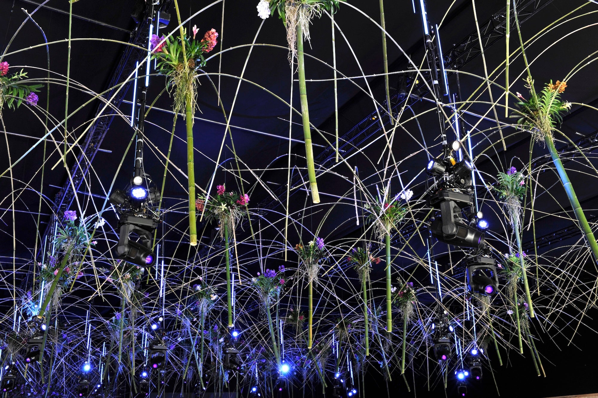 The Garden Awakens
