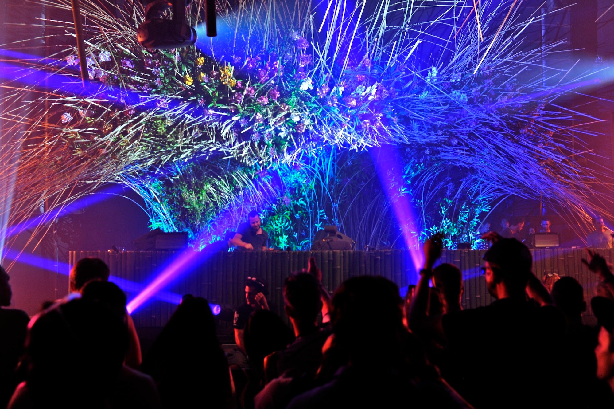 The Garden Awakens