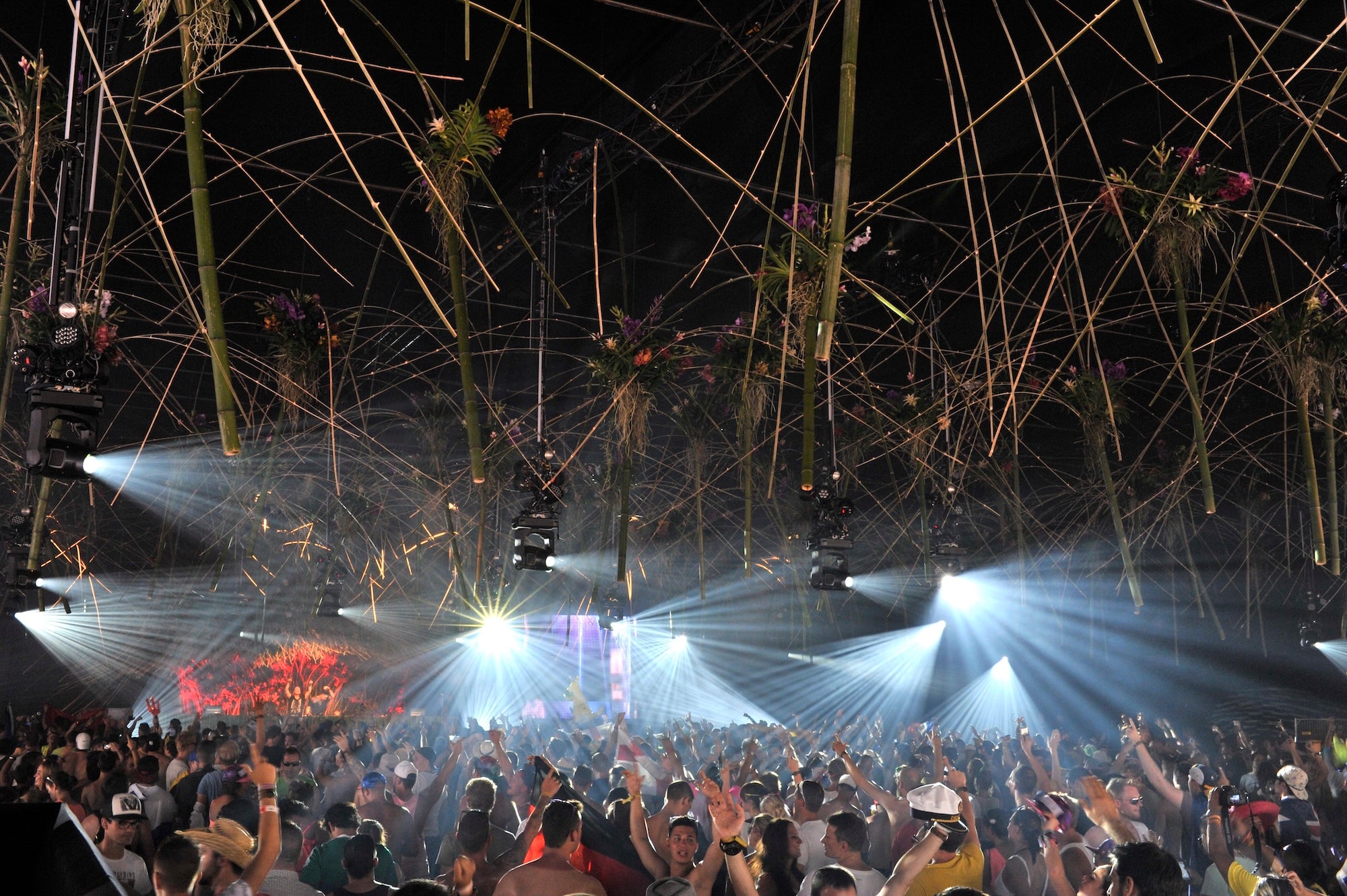 The Garden Awakens