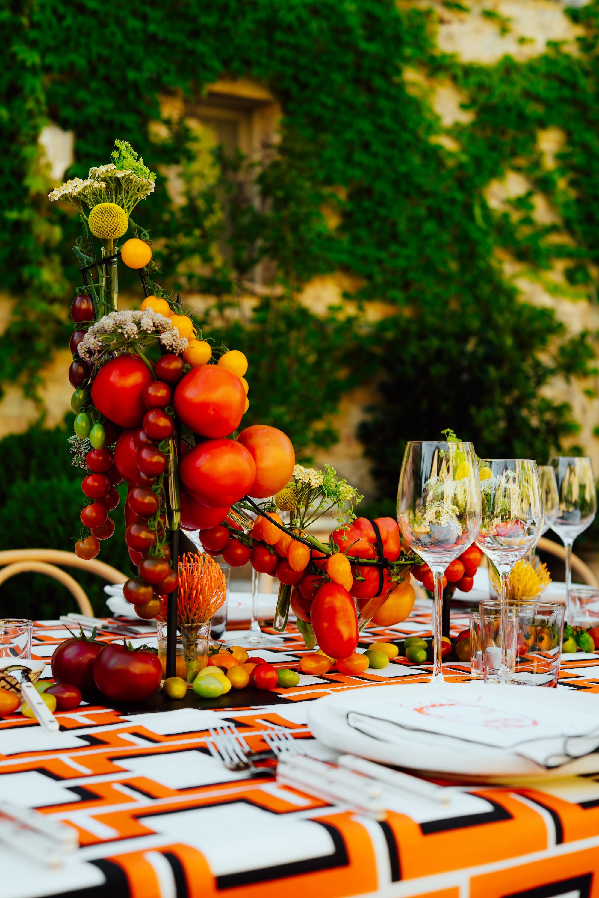 A Tuscan Harvest