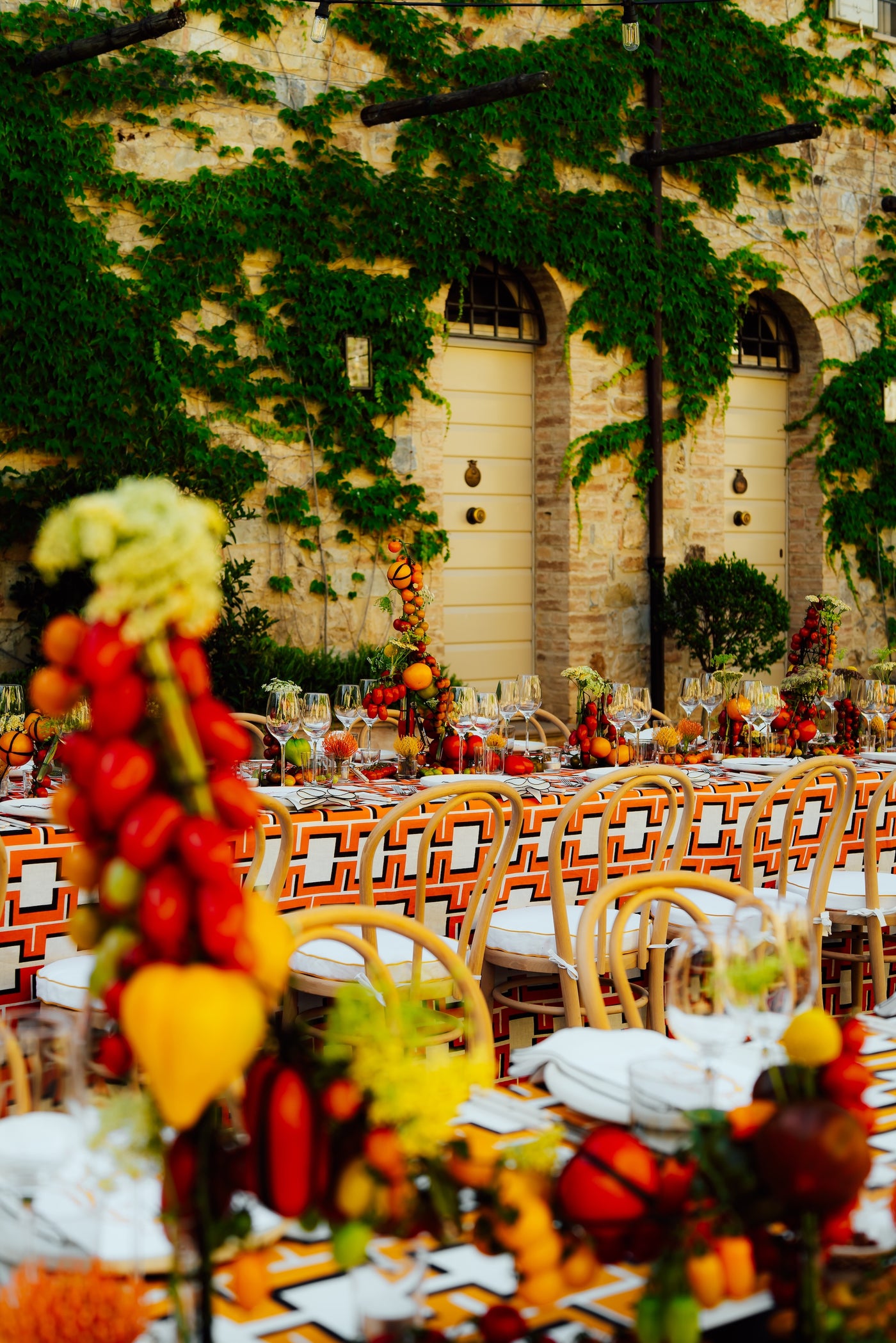 A Tuscan Harvest