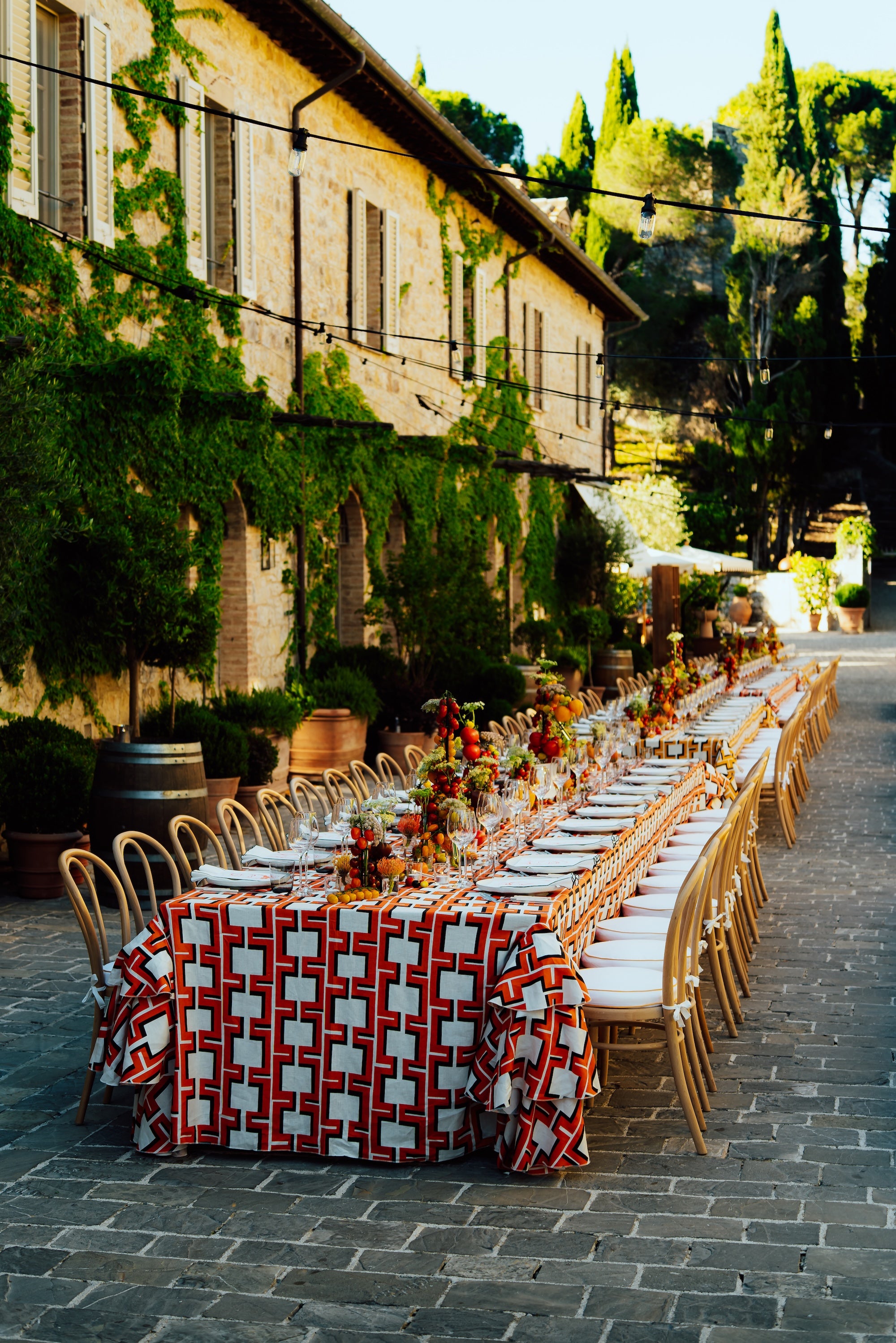 A Tuscan Harvest