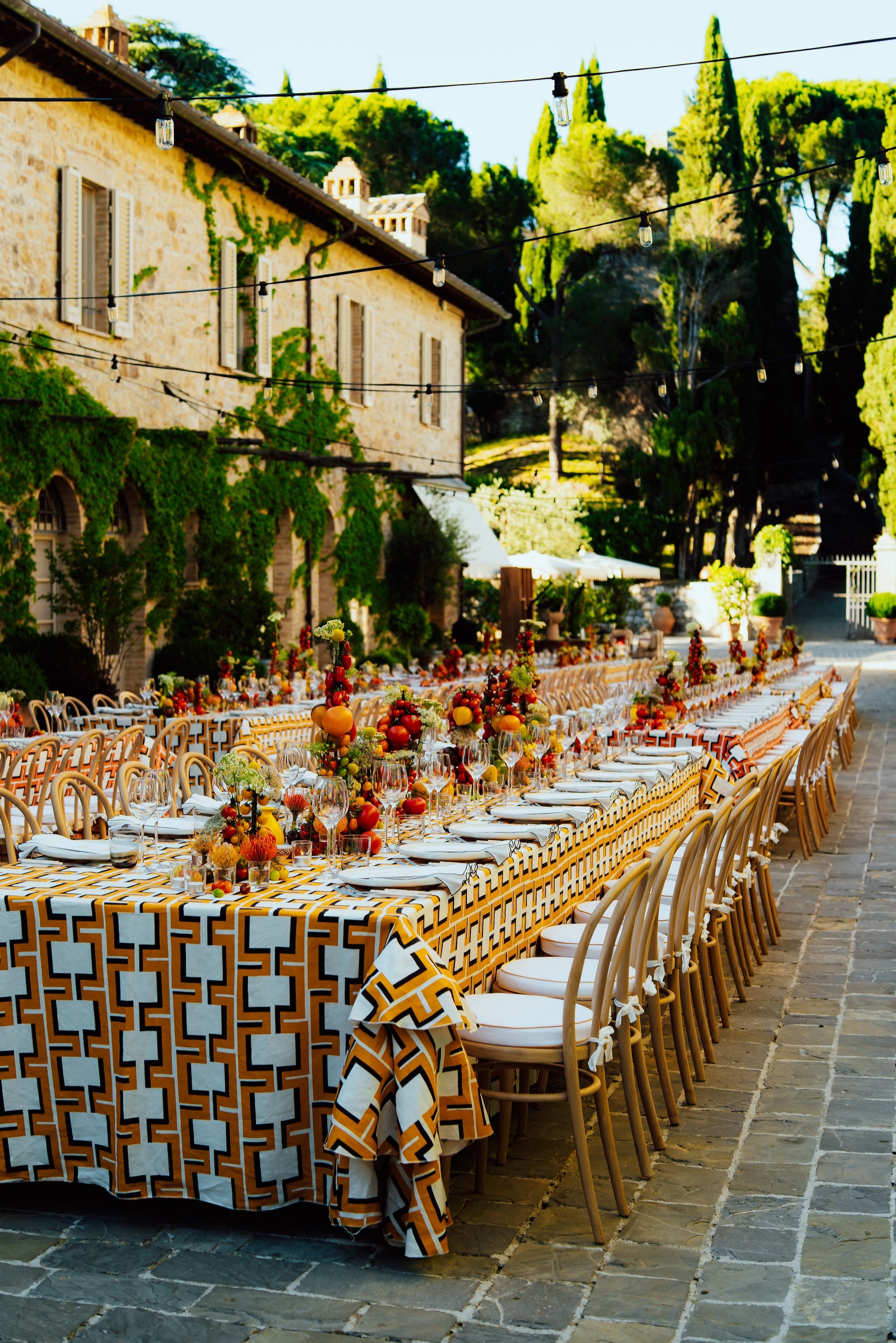 A Tuscan Harvest
