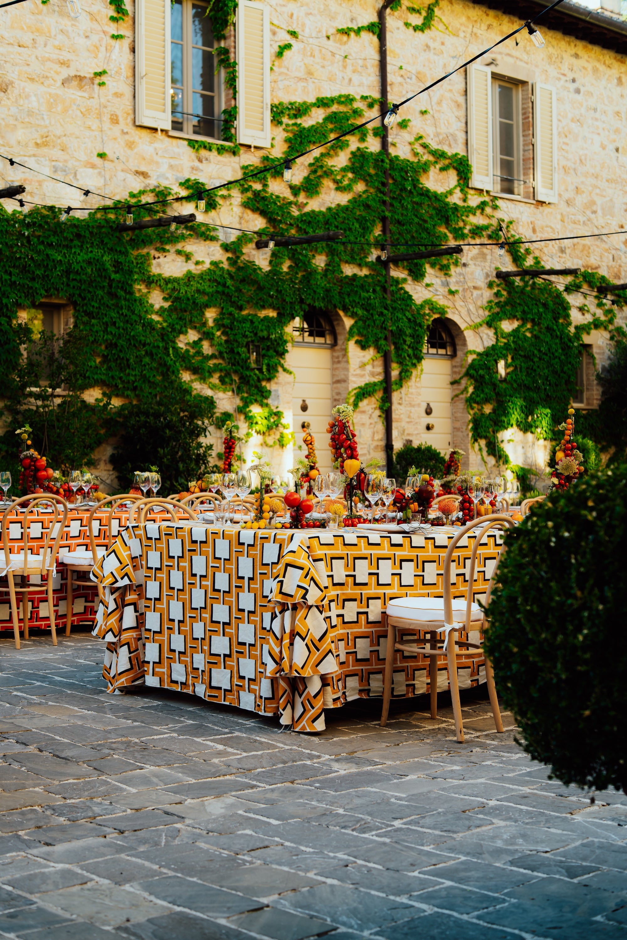 A Tuscan Harvest