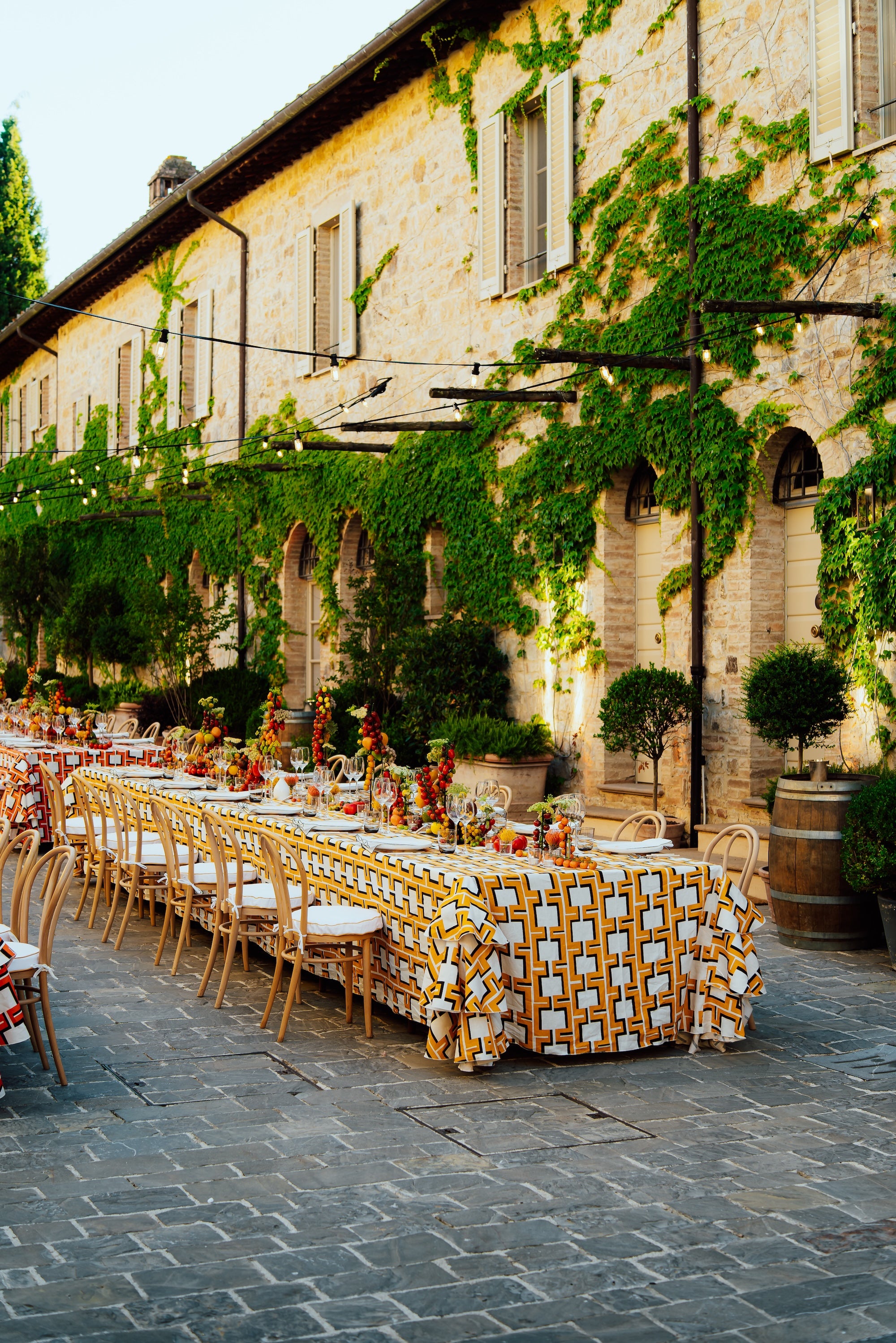 A Tuscan Harvest