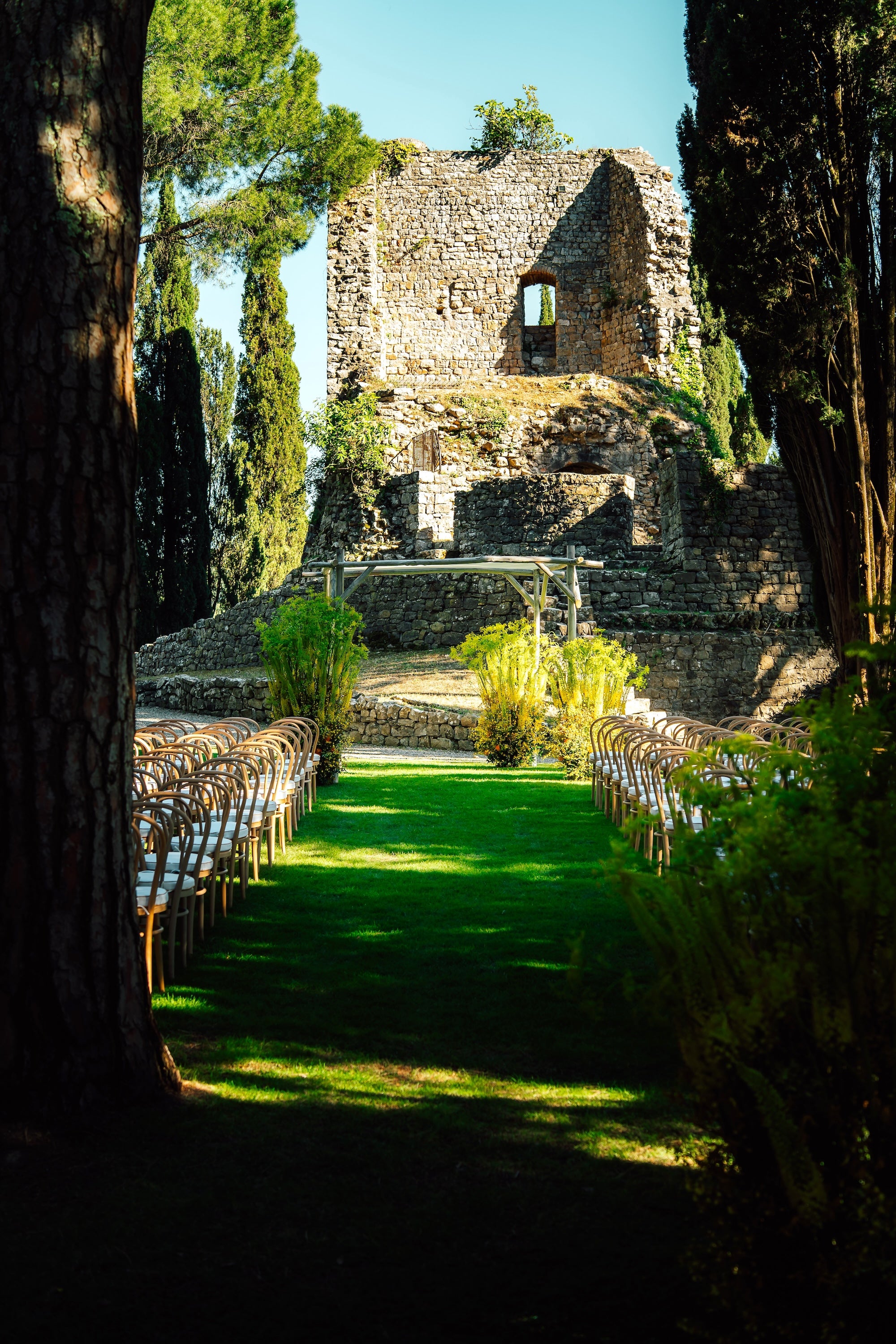 A Tuscan Harvest
