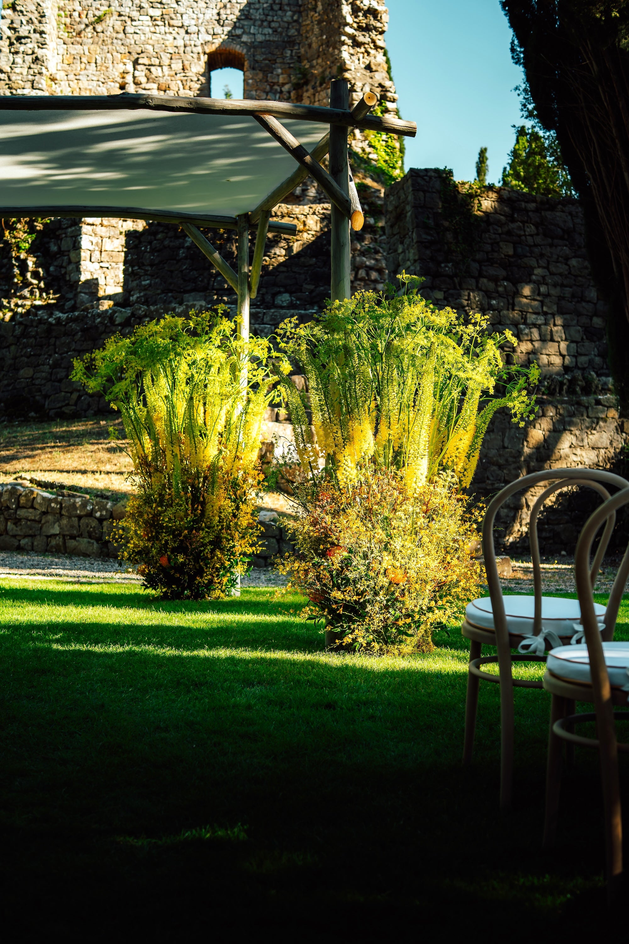 A Tuscan Harvest