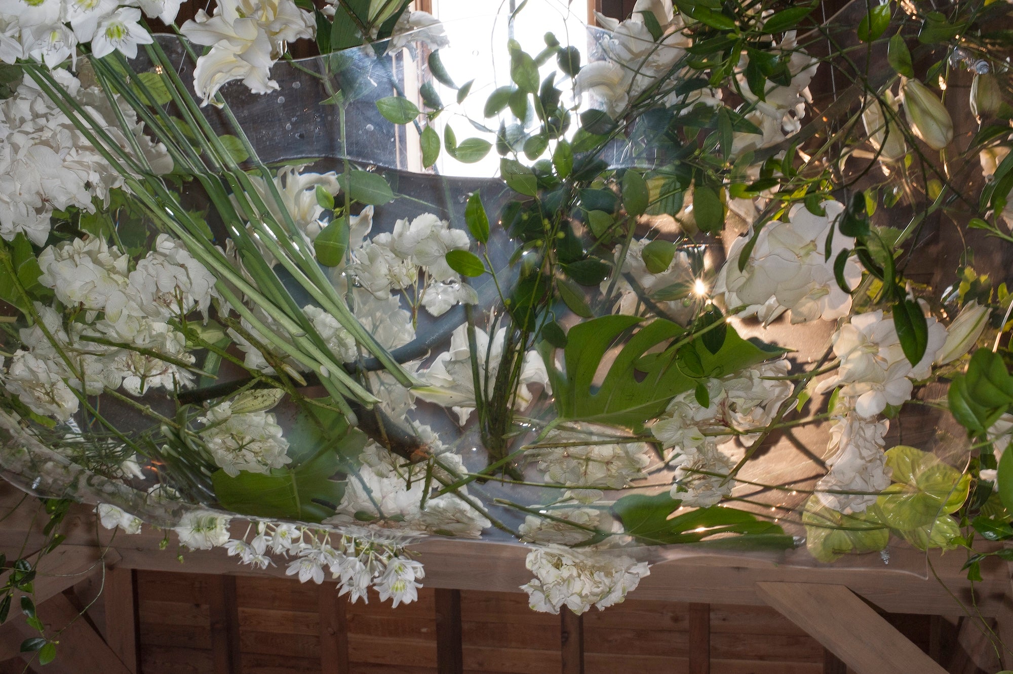 A Love Authored in Flowers