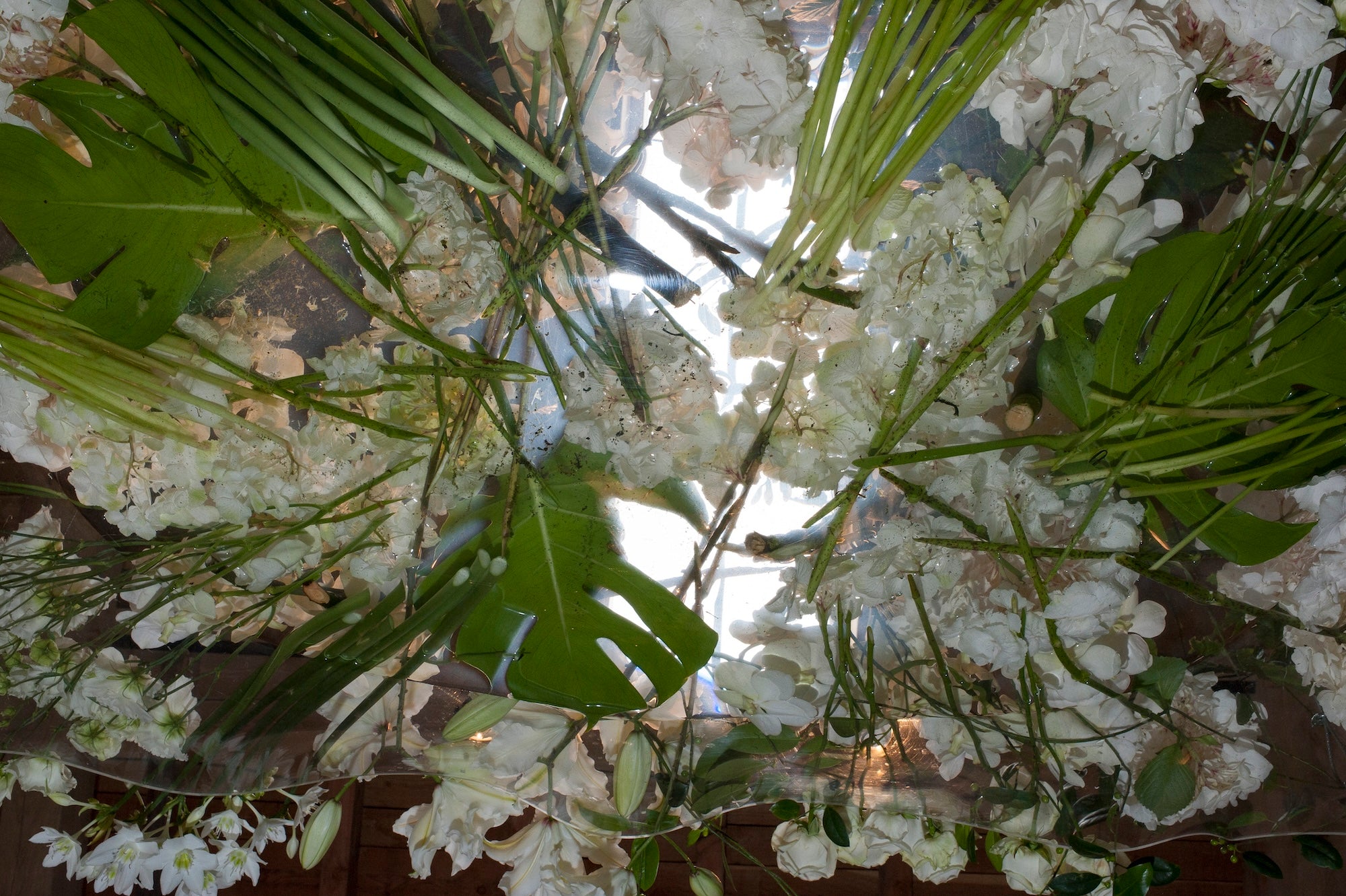 A Love Authored in Flowers
