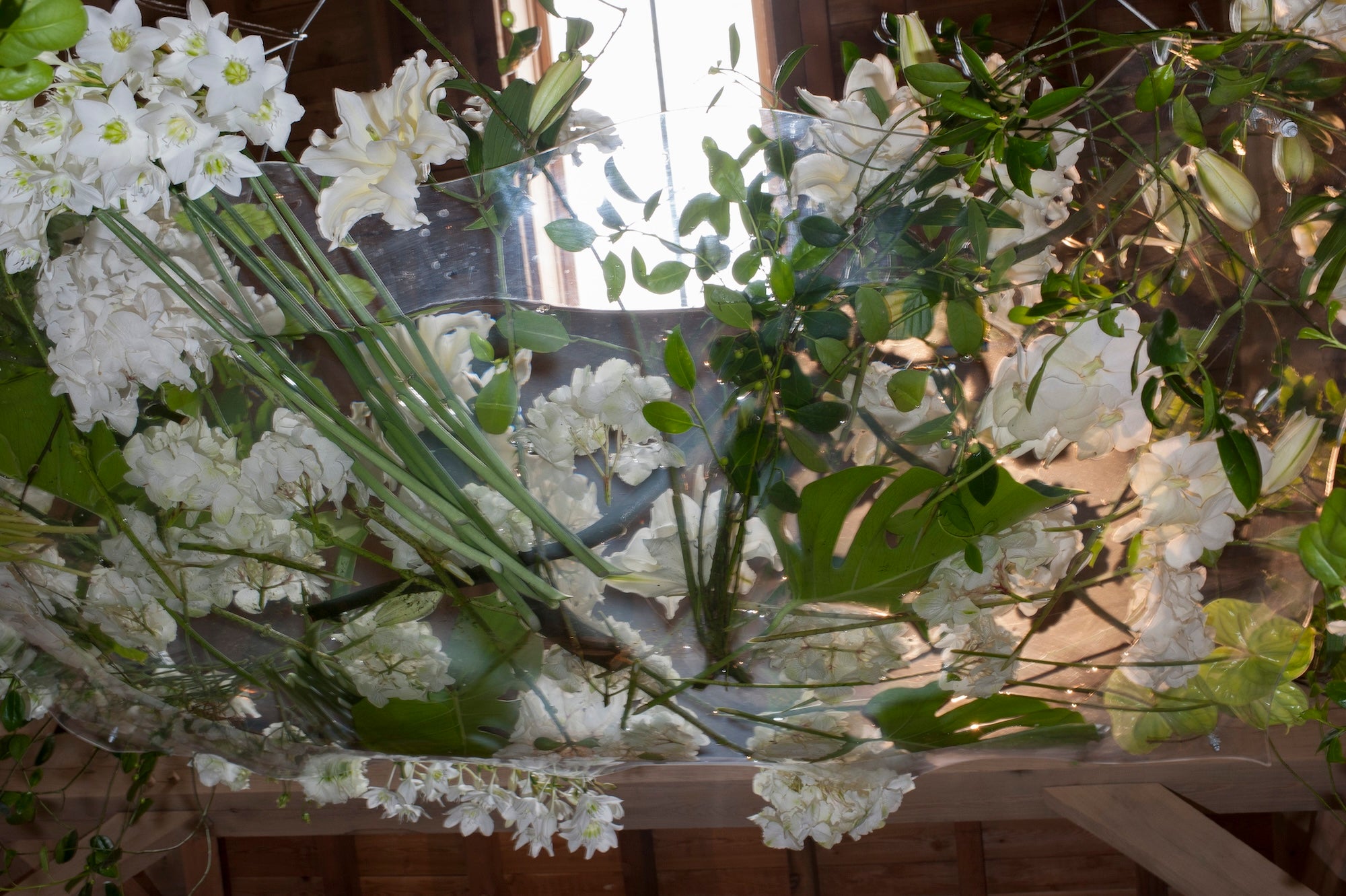 A Love Authored in Flowers