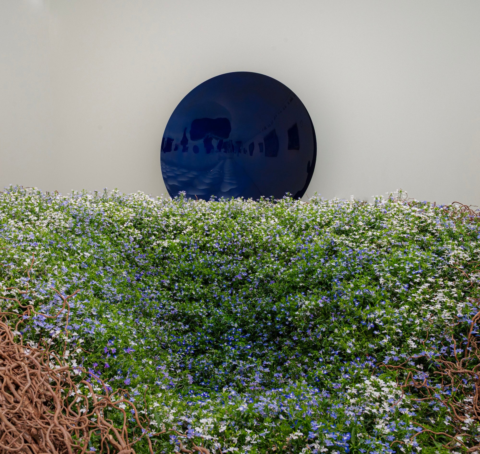 A Living Dialogue in Blue